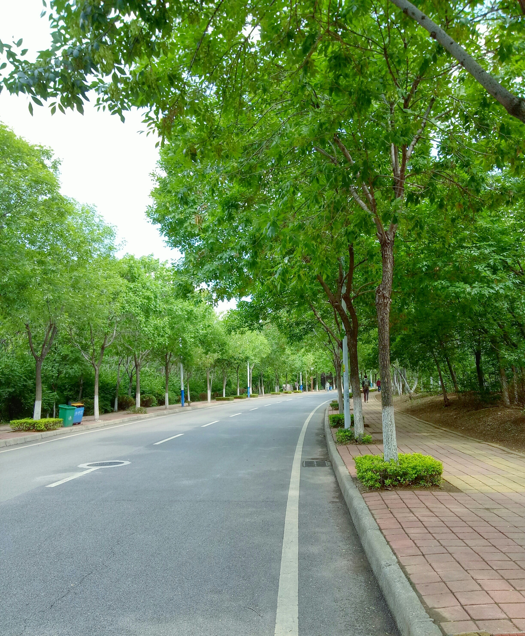OPPO A37M sample photo