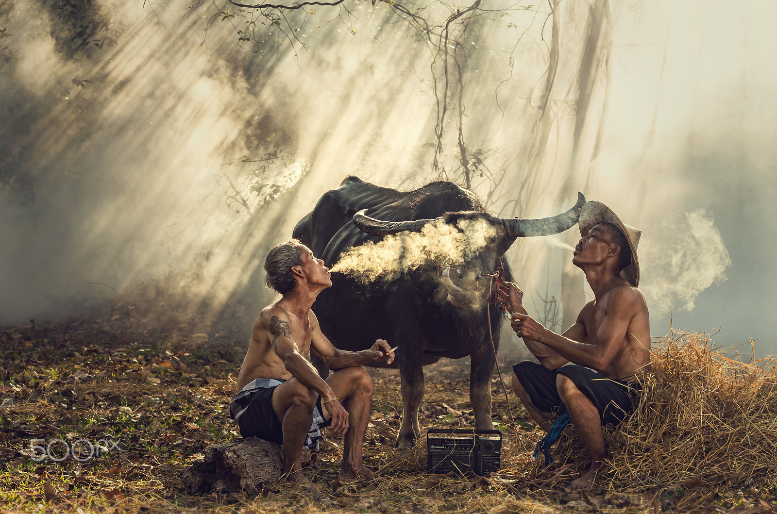 Pentax K-5 IIs sample photo. Two asian old man smoking and talking with buffalo and ray photography