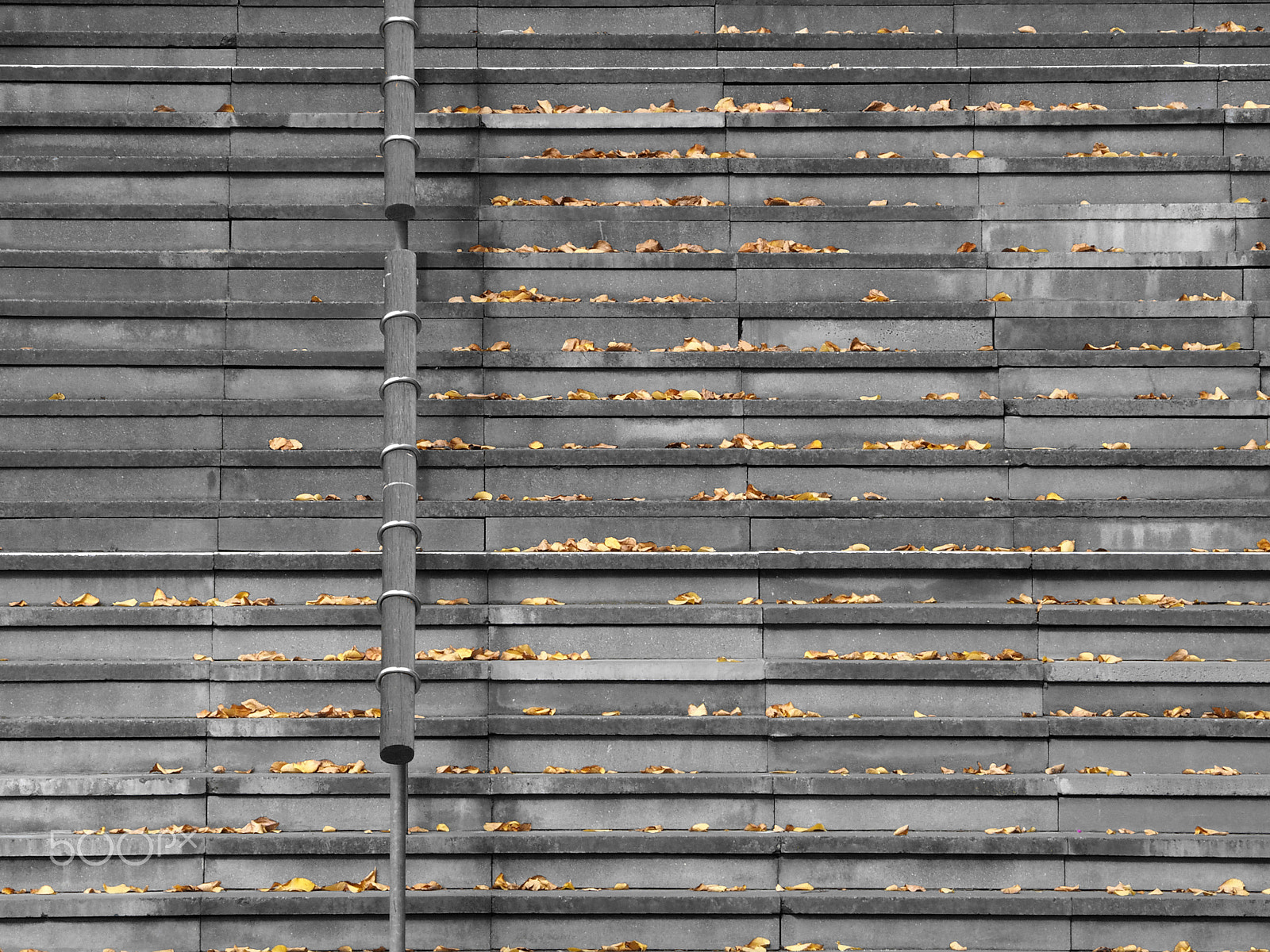 Olympus OM-D E-M10 sample photo. Autumn leaves on stairs photography