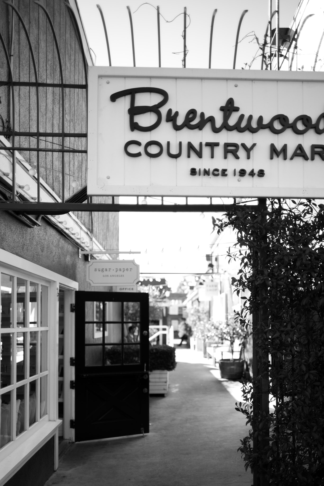 Summilux-M 1:1.4/28 ASPH. sample photo. Santa monica photography