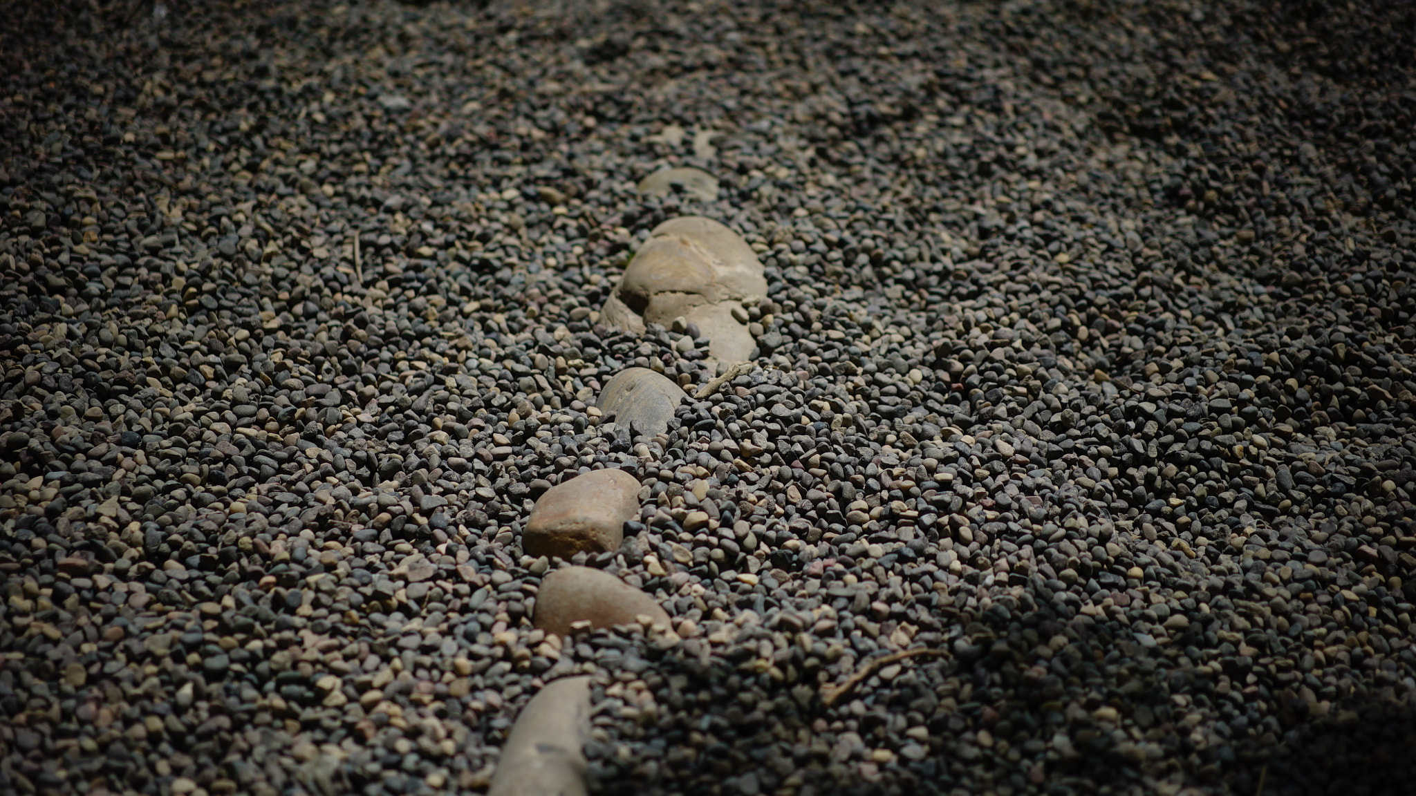 Sony a7S + Sony Sonnar T* FE 55mm F1.8 ZA sample photo. Stone photography
