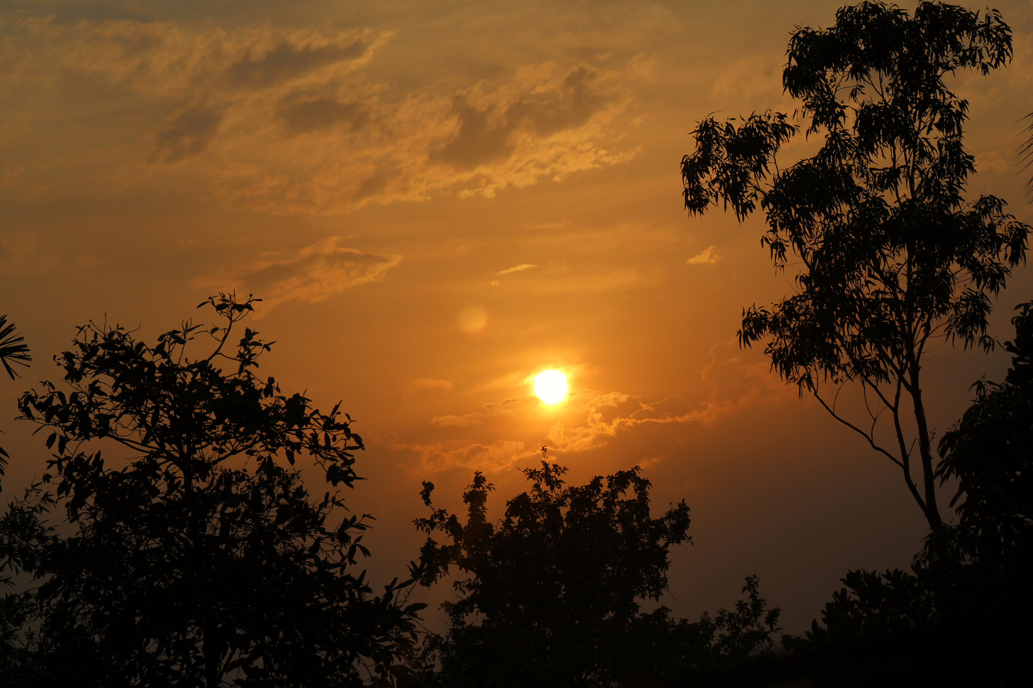 Canon EOS 700D (EOS Rebel T5i / EOS Kiss X7i) + Canon EF-S 18-135mm F3.5-5.6 IS STM sample photo. Sunset photography