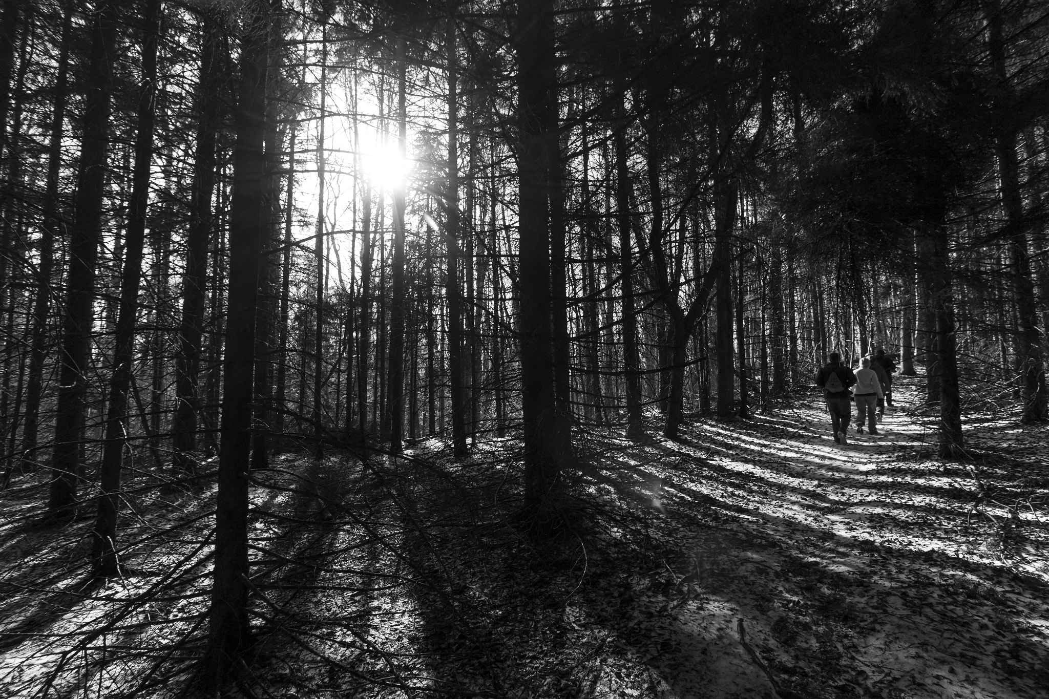 Canon EF-S 10-18mm F4.5–5.6 IS STM sample photo. From a hike back in january in blackwater falls st ... photography