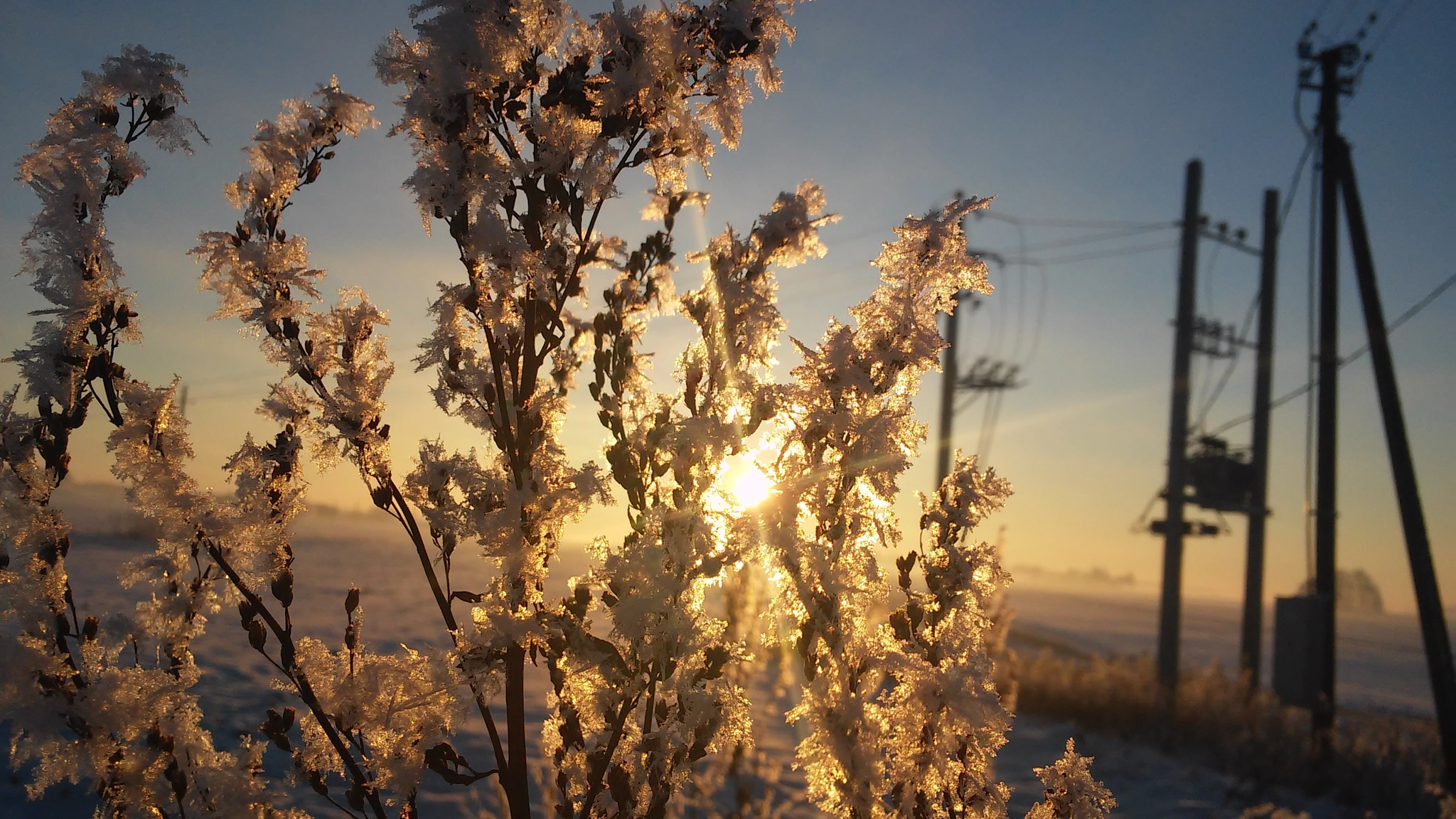 LG G2 MINI sample photo. Moment from cold lithuanian winter evening.. photography