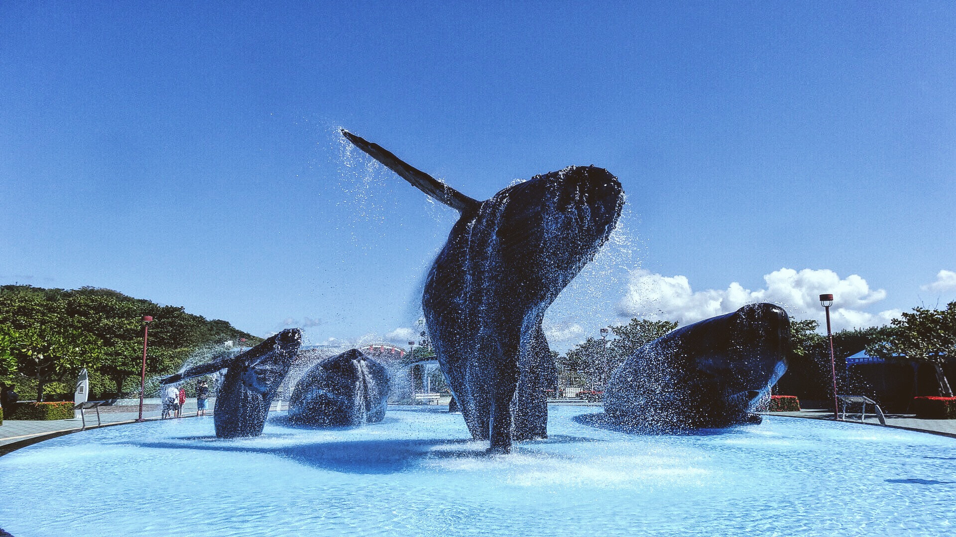 Sony DSC-HX30 sample photo. National museum of marine biology&aquarium.pintung county.taiwan photography