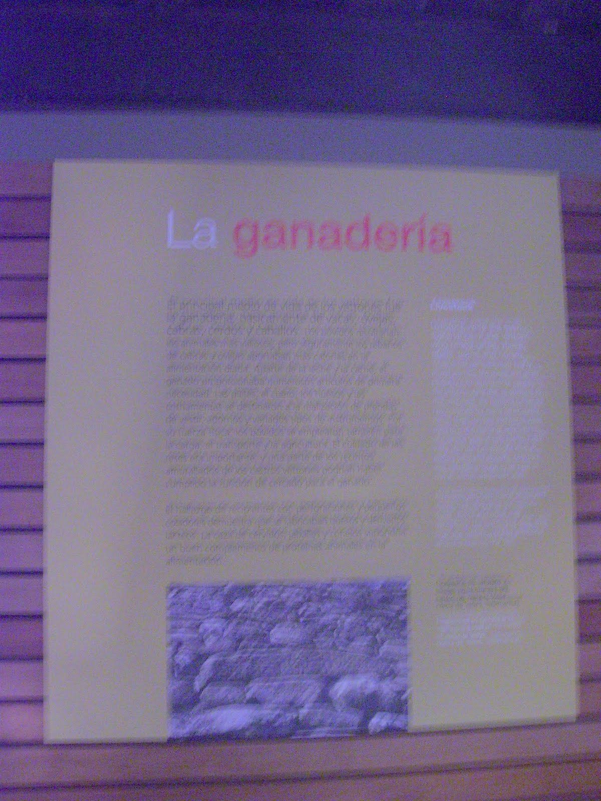 Kodak EASYSHARE C433 ZOOM DIGITAL CAMERA sample photo. 101_0373.jpg photography