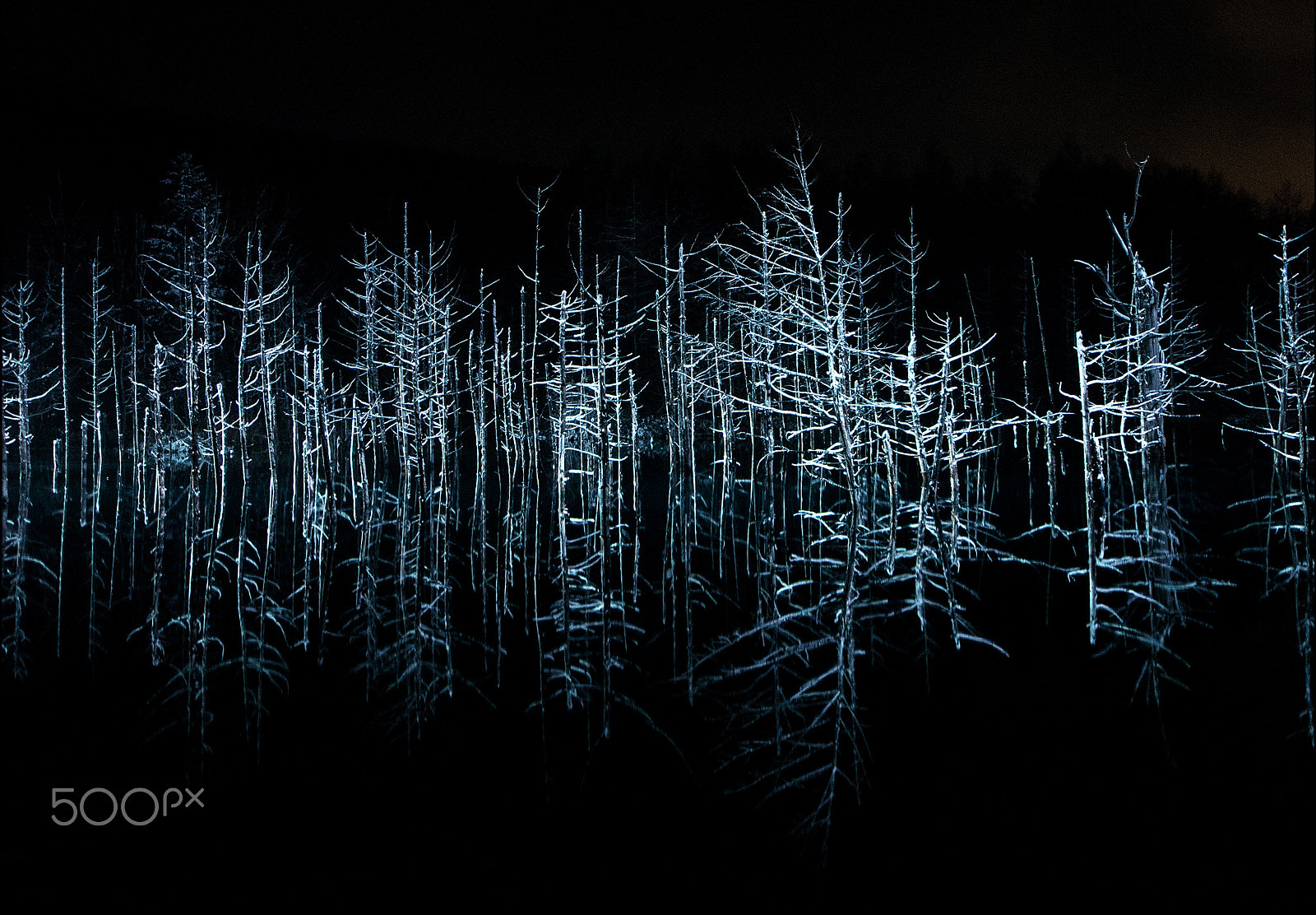 Pentax K-5 IIs sample photo. Waveform photography