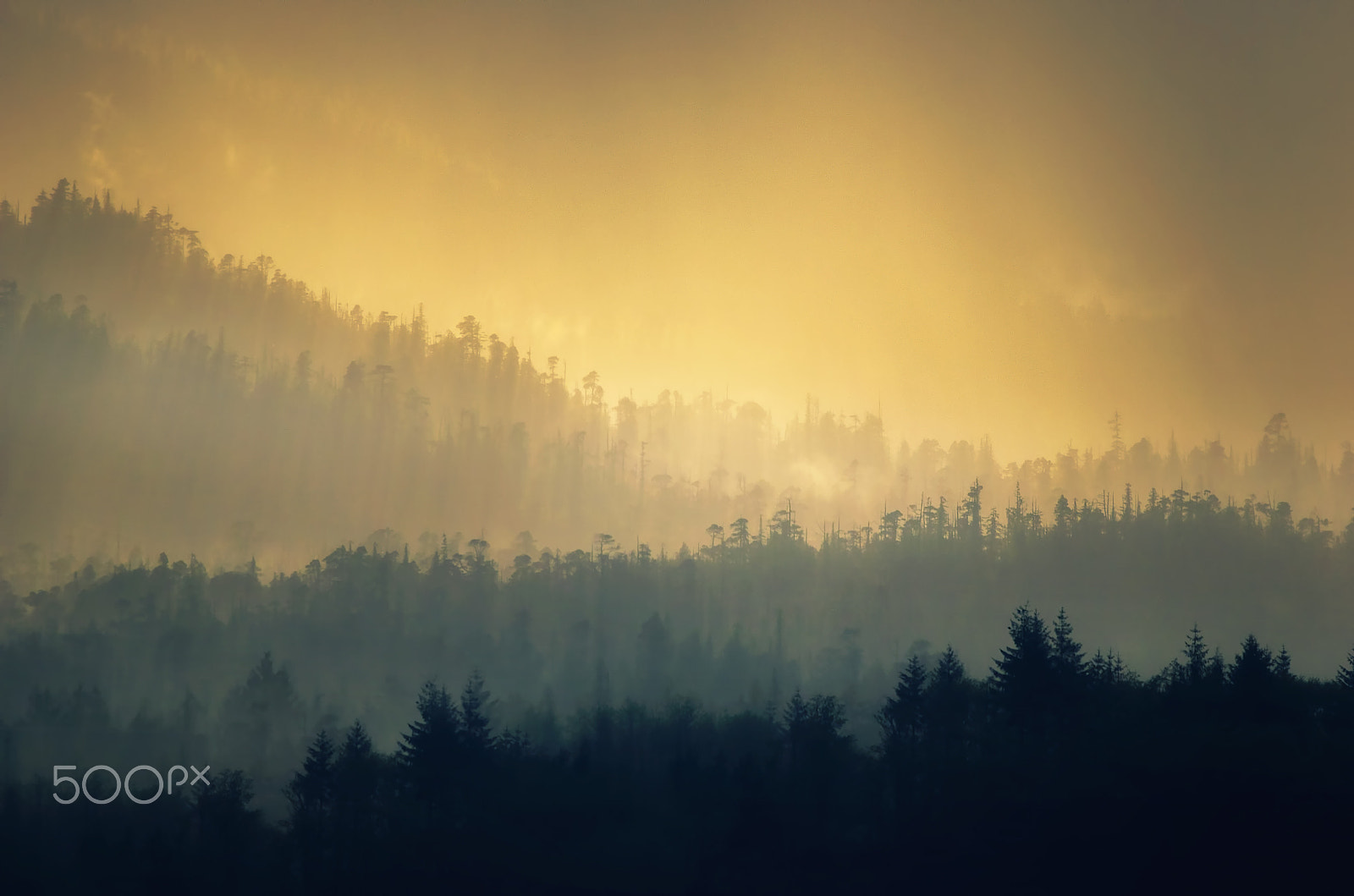 Pentax smc DA 55-300mm F4.0-5.8 ED sample photo. Mountain mist photography