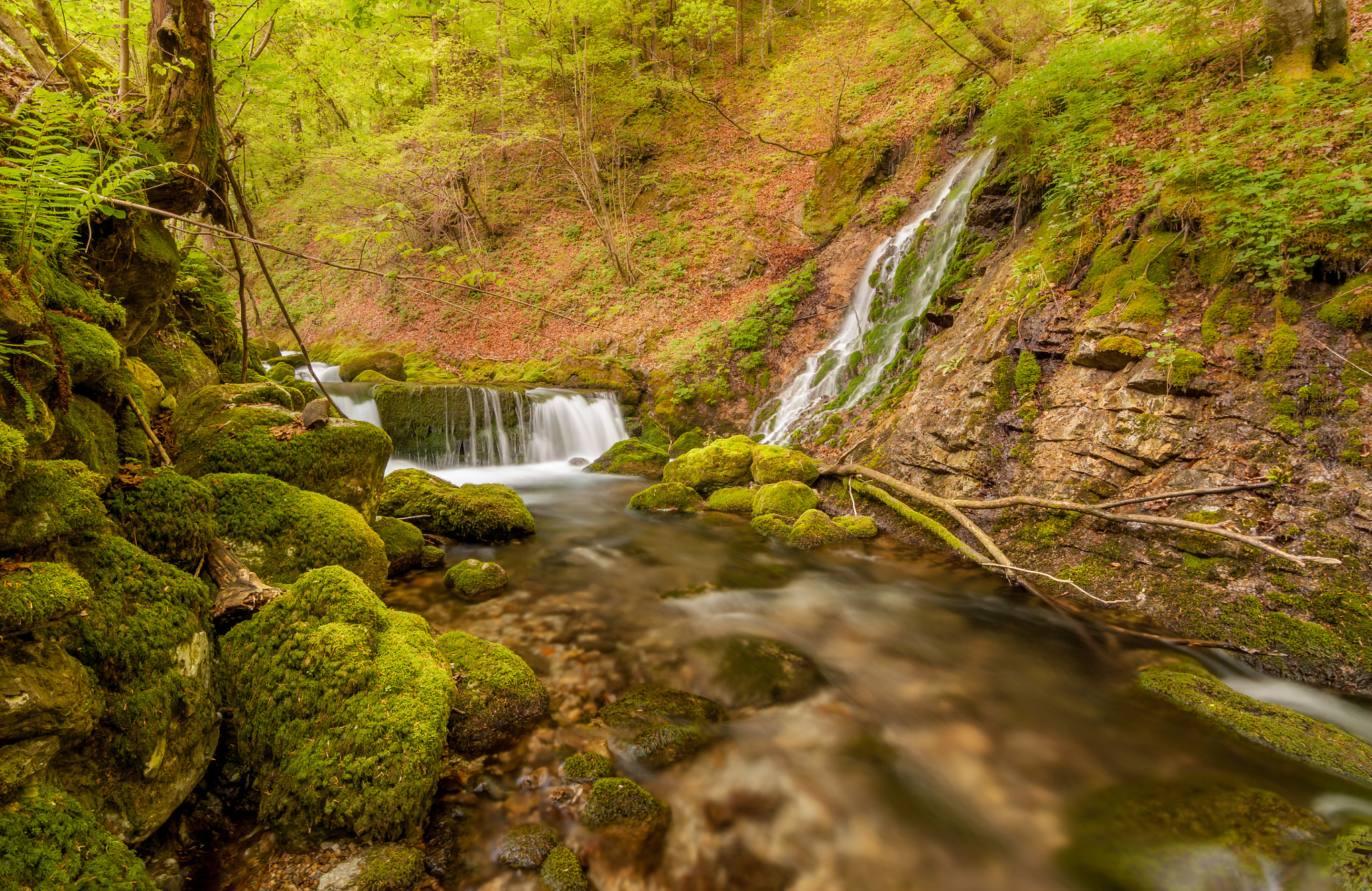 Nikon D200 sample photo. Fairytale forest stream photography