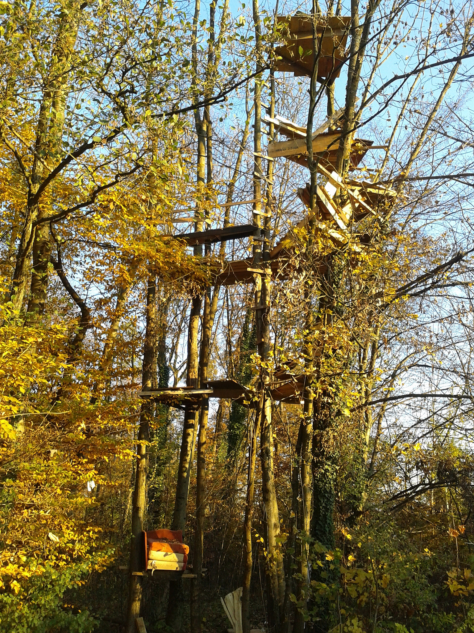 Samsung GT-S5610 sample photo. A house built on trees in ljubljana photography