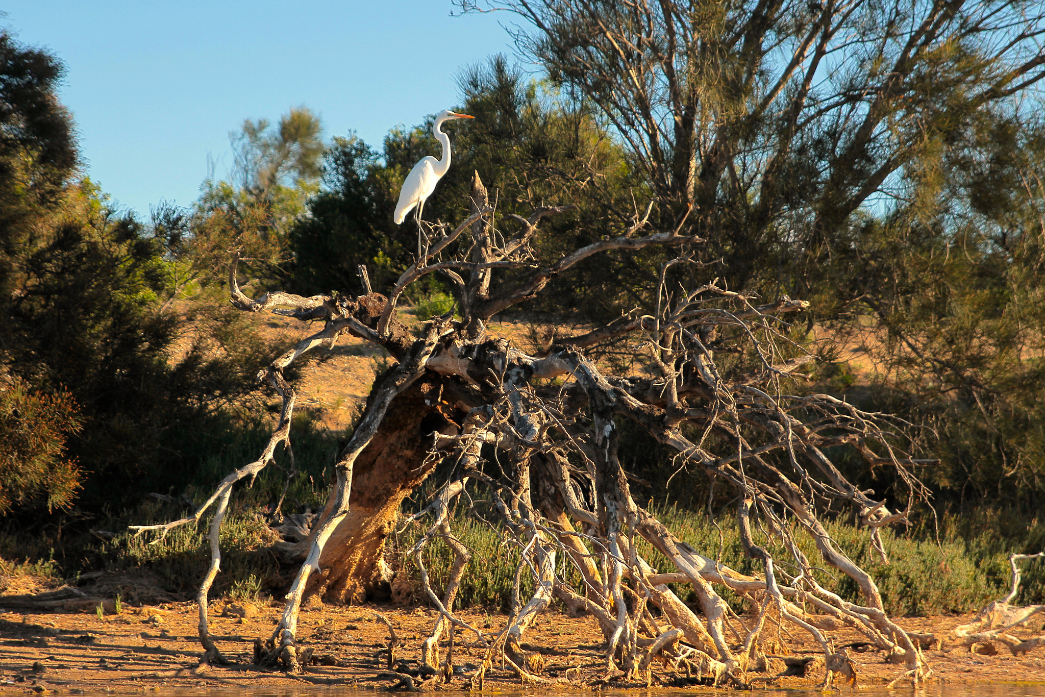 Sigma 24-70mm f/2.8 IF EX DG HSM sample photo. Western australia photography