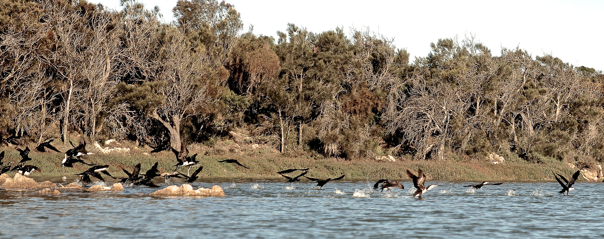Canon EOS 7D + Sigma 24-70mm f/2.8 IF EX DG HSM sample photo. Greenough river photography