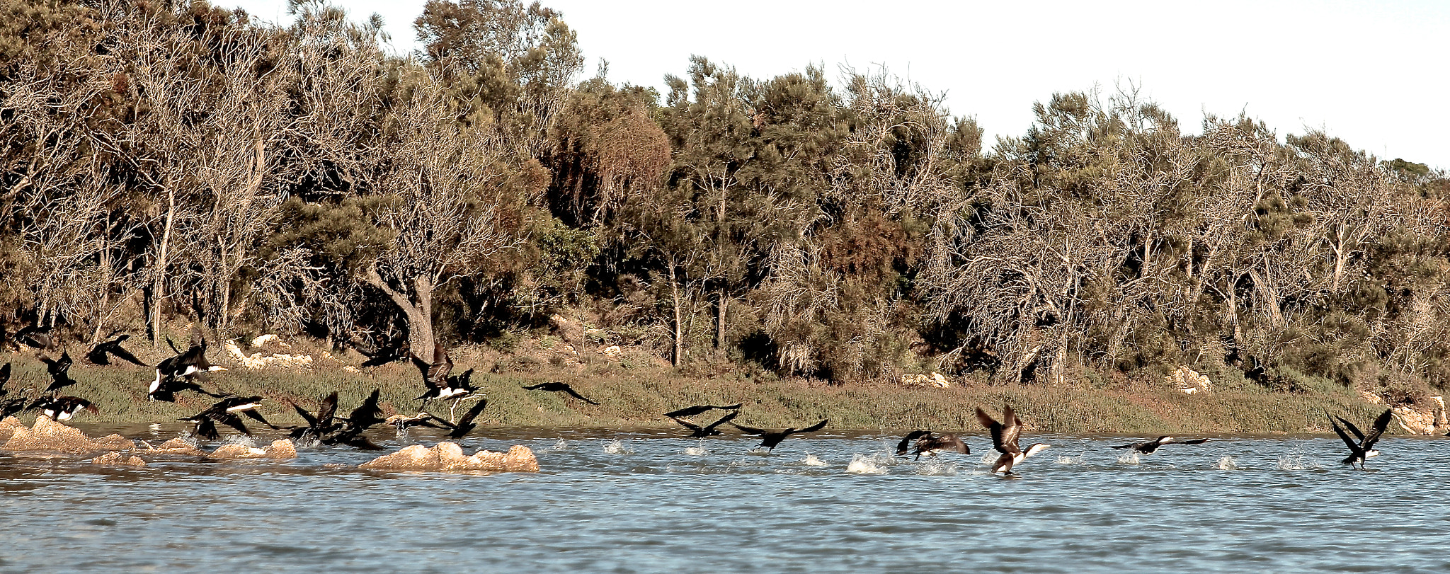 Sigma 24-70mm f/2.8 IF EX DG HSM sample photo. Greenough river photography