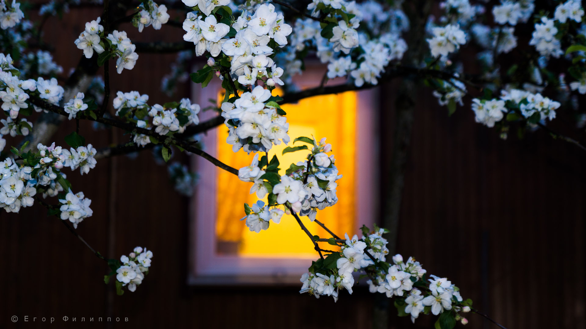 Sony SLT-A37 + Sony DT 16-50mm F2.8 SSM sample photo. Manzano photography