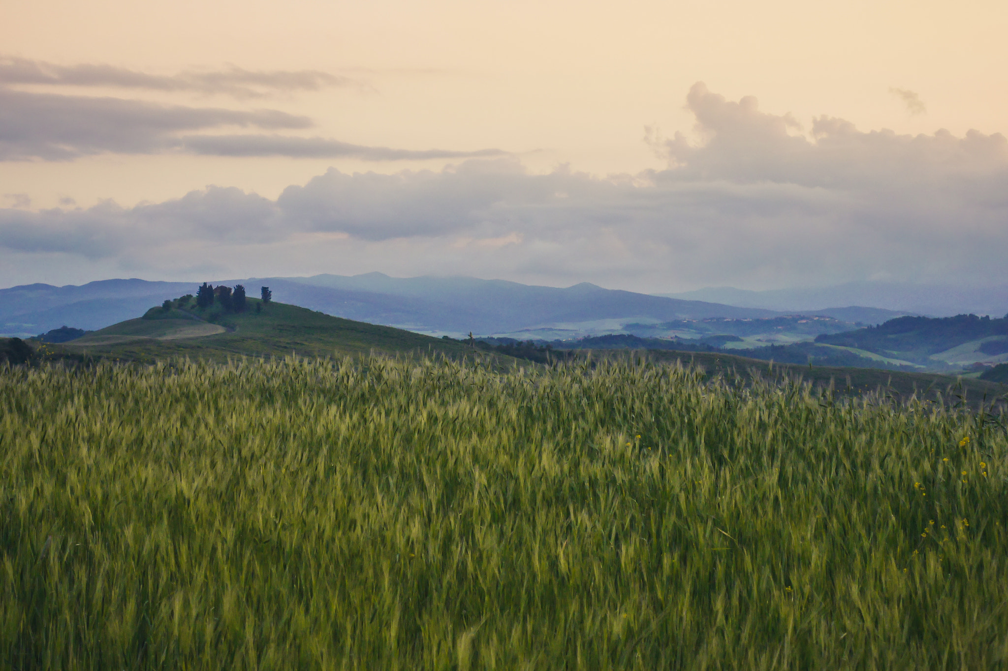 LUMIX G VARIO 14-42/F3.5-5.6 II sample photo. Tuscany landscape photography
