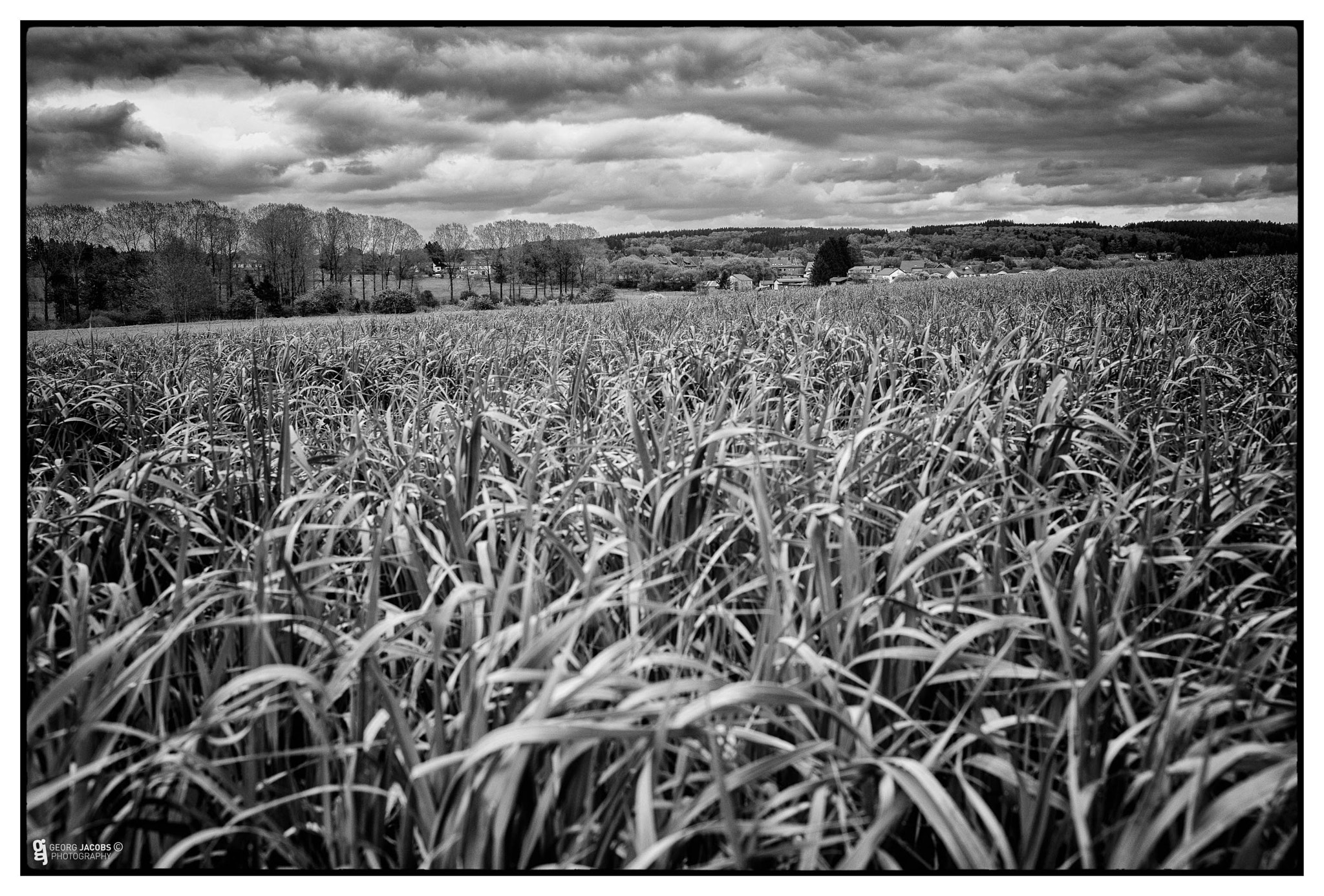 E 35mm F2 sample photo. Cloudy .. photography