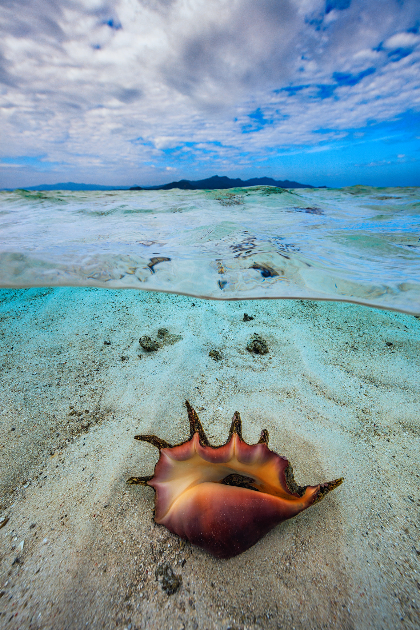 Canon EOS 5DS + Canon EF 14mm F2.8L II USM sample photo. Shell under the lagoon! photography