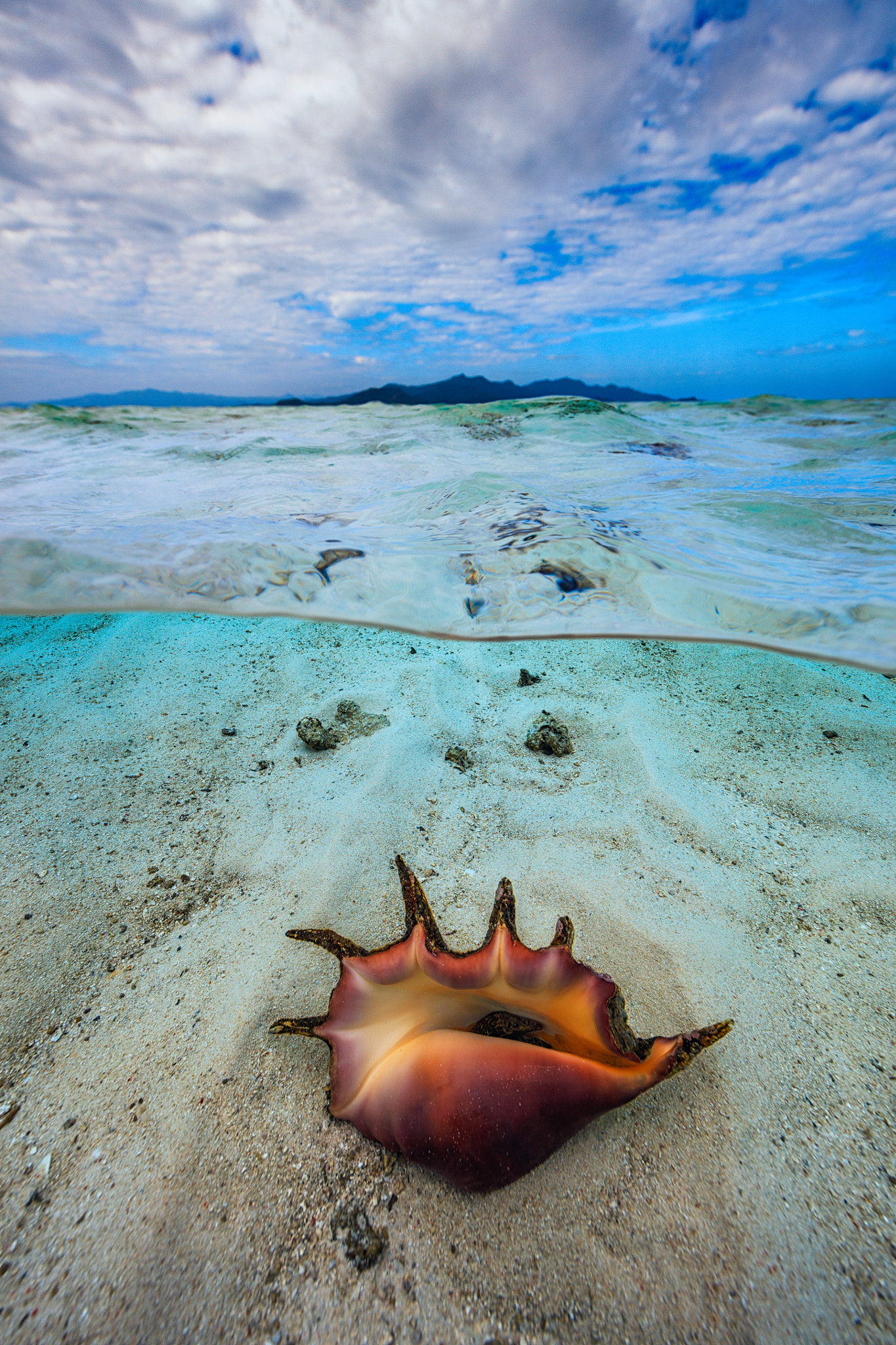 Canon EF 14mm F2.8L II USM sample photo. Shell under the lagoon! photography