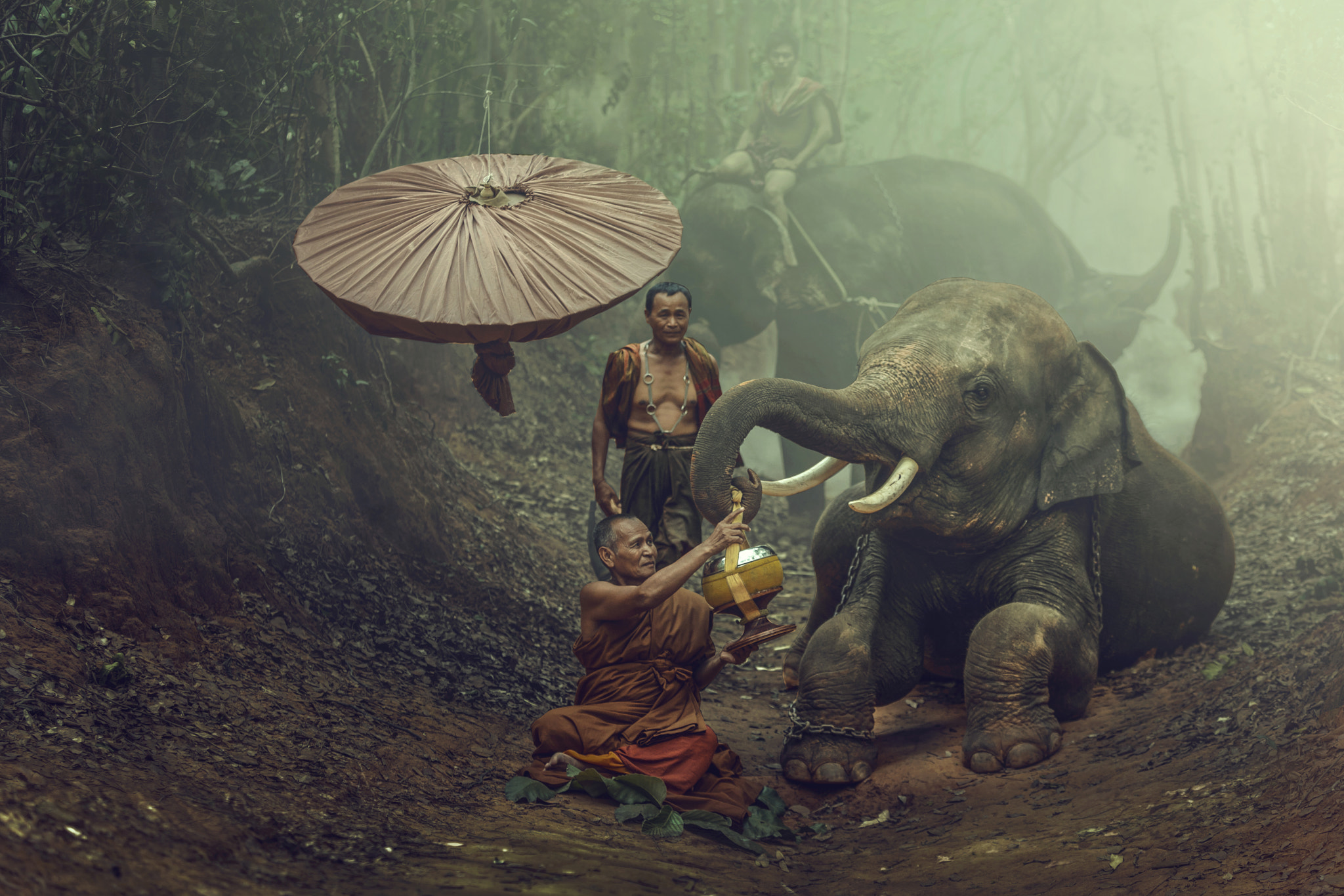 Canon EOS 5DS sample photo. Monk meditating in the jungle with elephant photography