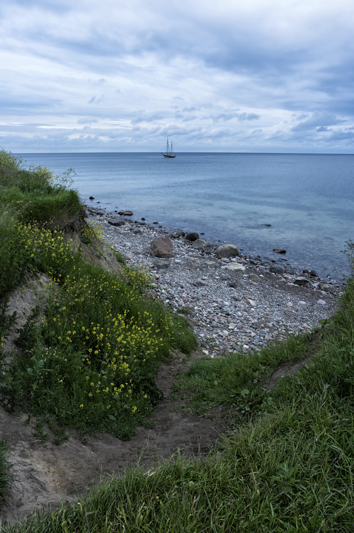 Pentax K-3 II + A Series Lens sample photo. Cloudy morning photography