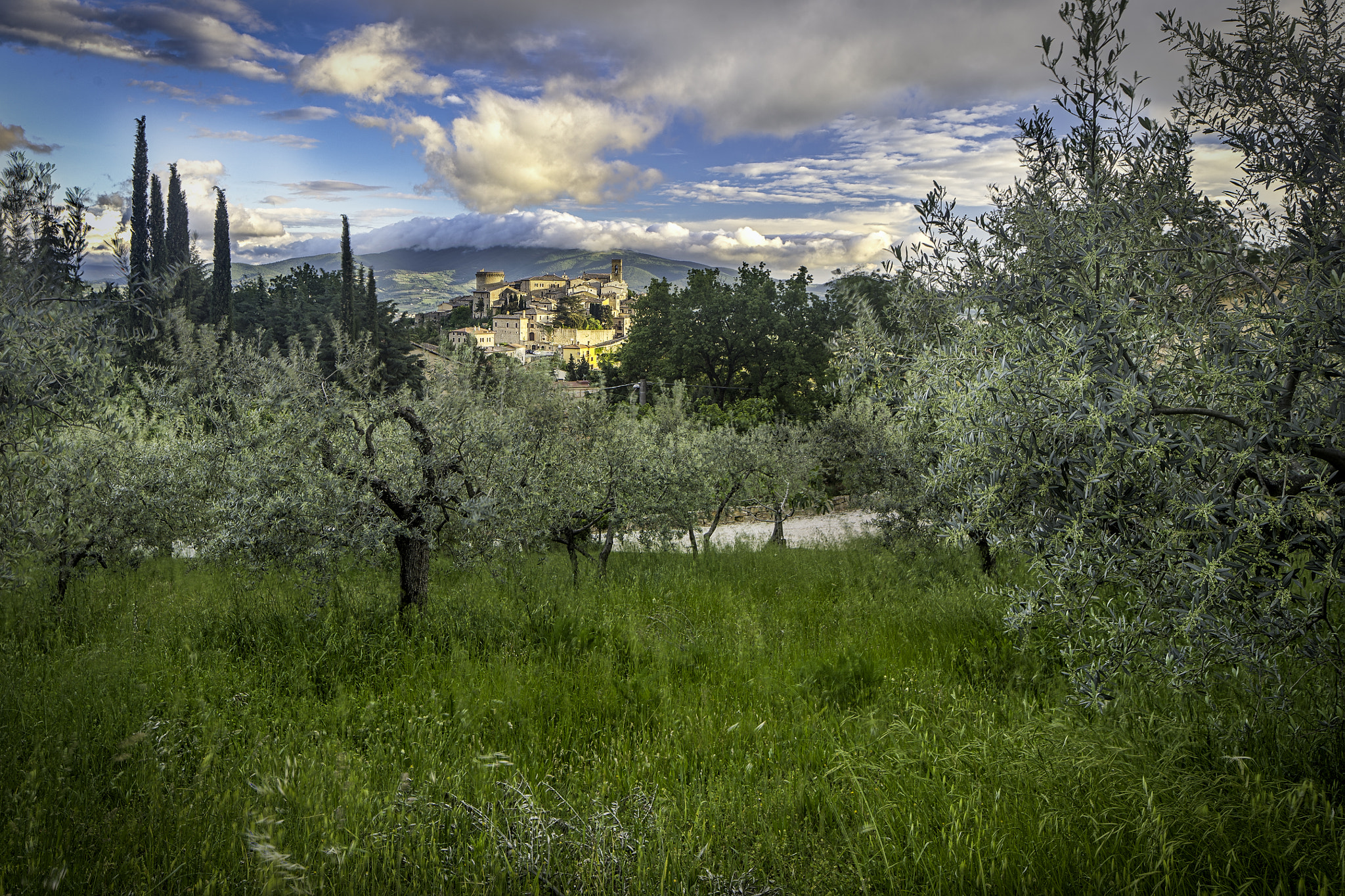 Canon TS-E 24.0mm f/3.5 L II sample photo. Gualdo cattaneo panoramica photography