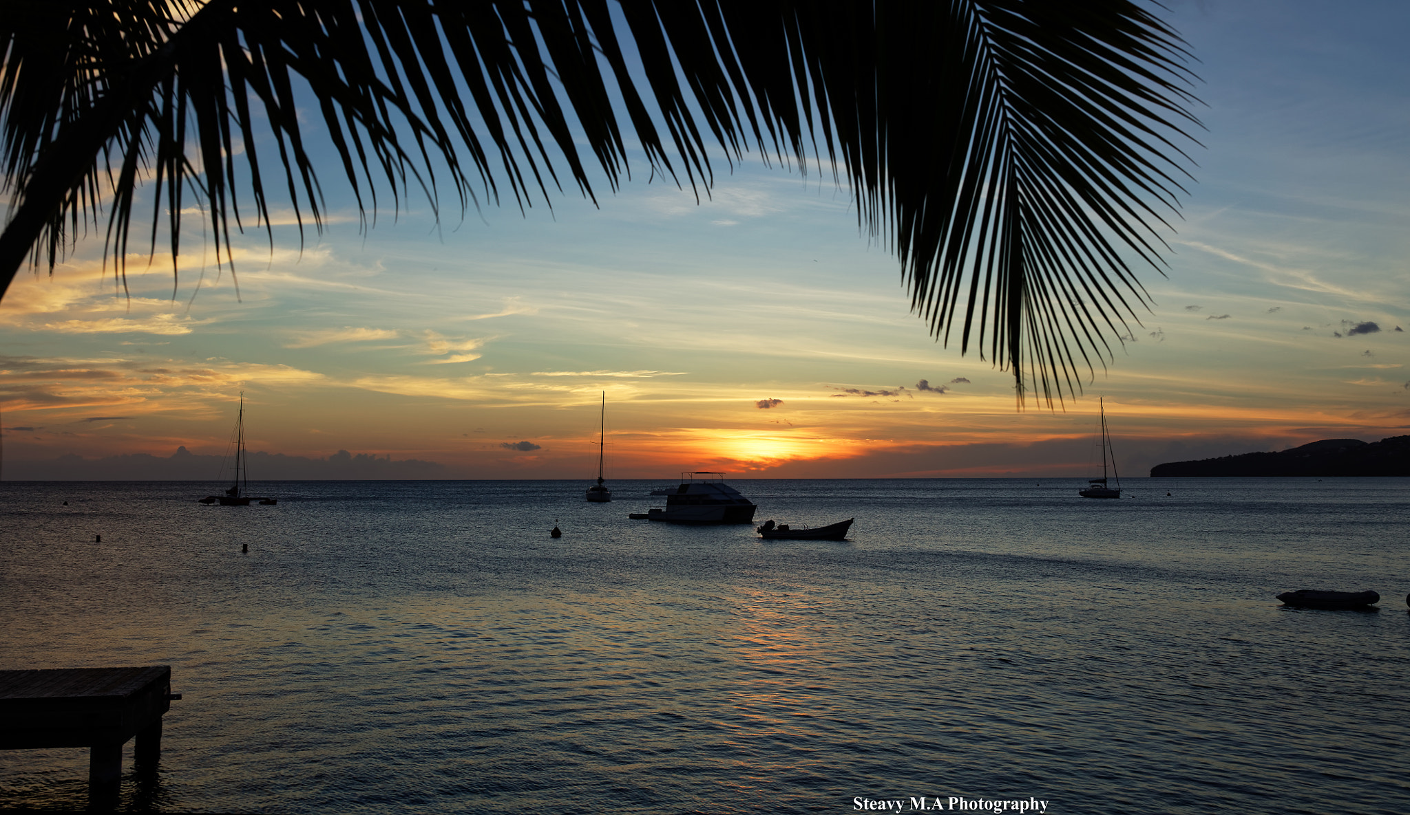 Canon EF 35mm F1.4L II USM sample photo. Sunset coconut tree photography
