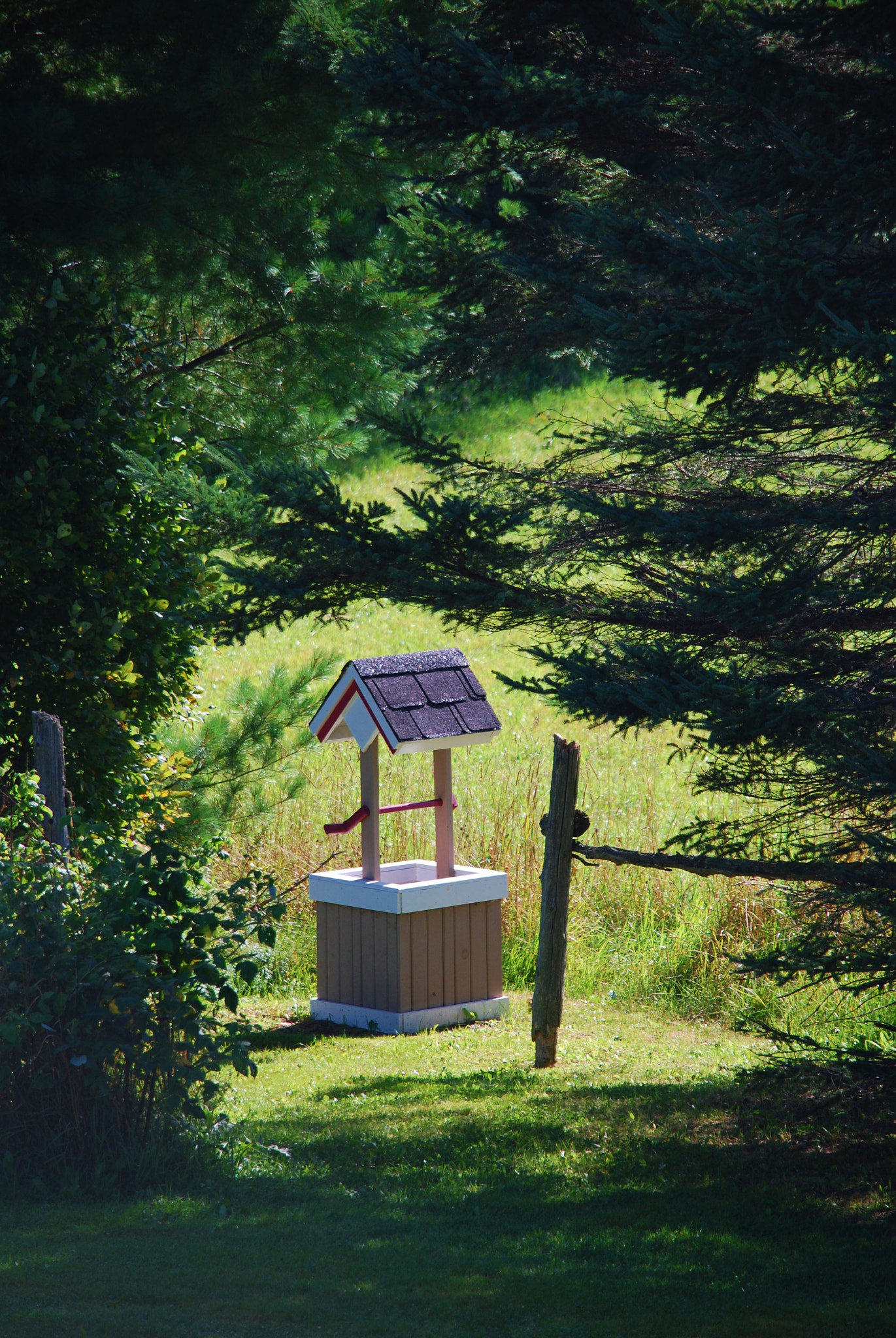 Nikon D60 sample photo. Make a wish! photography
