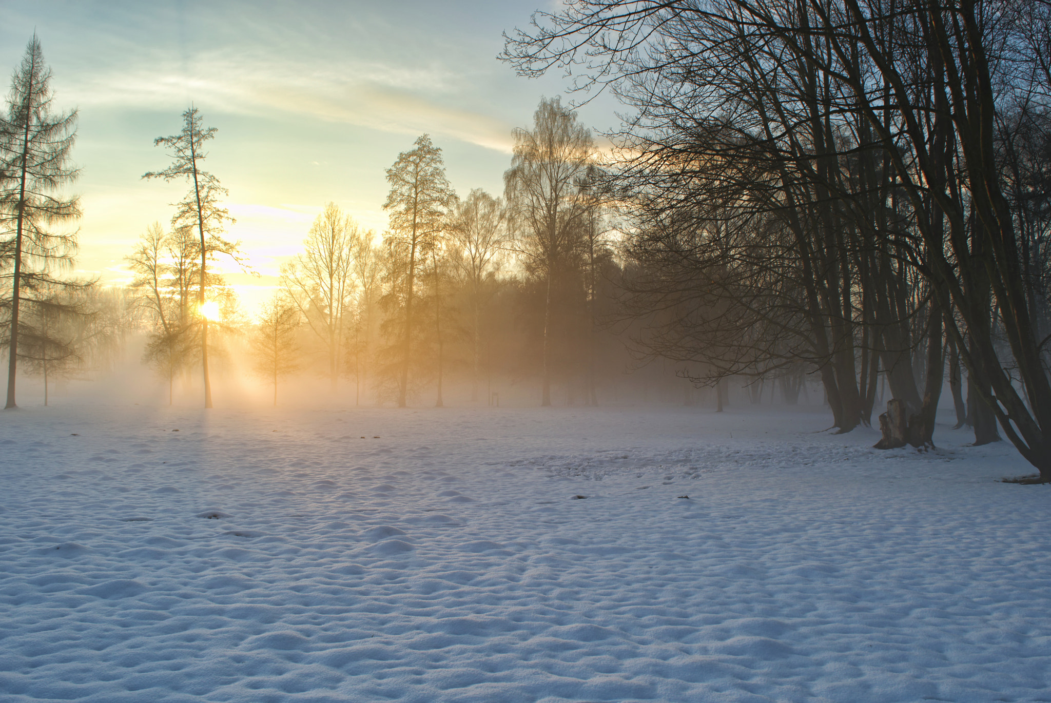 Nikon D3200 + 18.00 - 55.00 mm f/3.5 - 5.6 sample photo. Sunset in the park photography