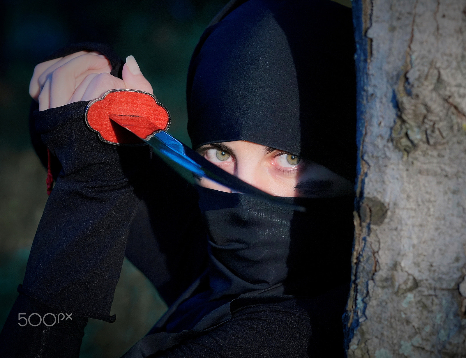 Sony Planar T* 85mm F1.4 ZA sample photo. *** photography