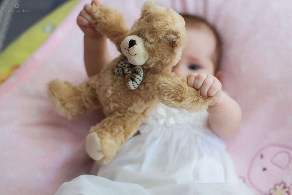 Canon EOS 650D (EOS Rebel T4i / EOS Kiss X6i) + Canon EF 50mm F1.4 USM sample photo. ... photography