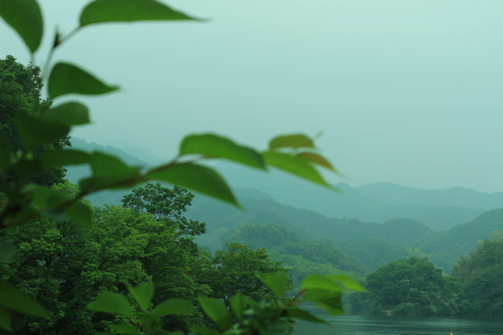 Canon EOS 100D (EOS Rebel SL1 / EOS Kiss X7) + Canon EF 50mm F1.8 II sample photo. Gradation photography