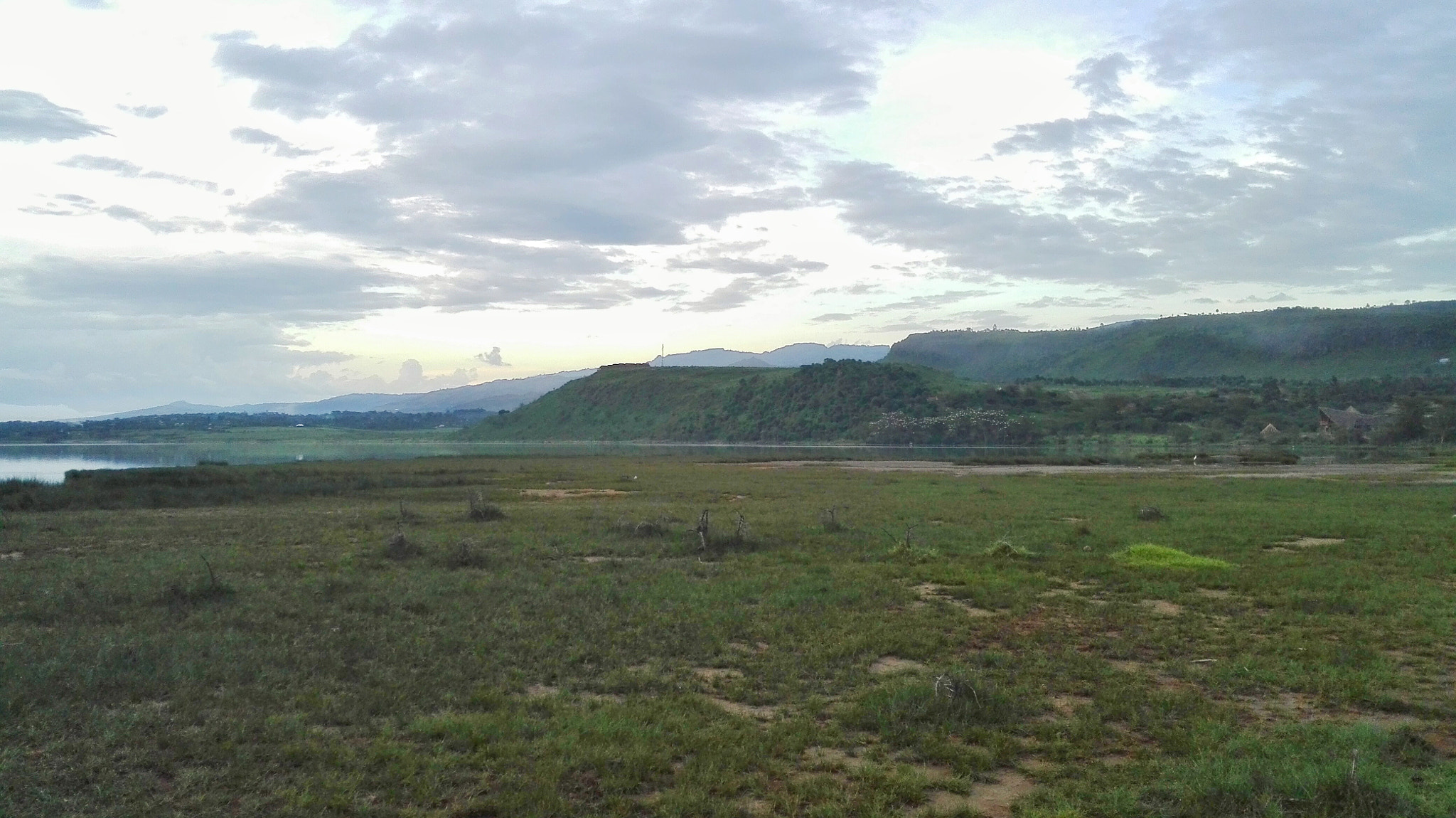 HUAWEI Che2-UL00 sample photo. Africa  photography