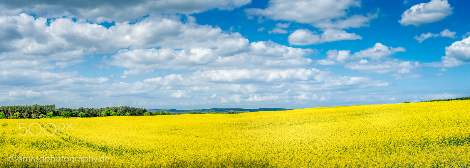 Sony a7R + Canon EF 50mm F1.4 USM sample photo. Rapsfeld photography