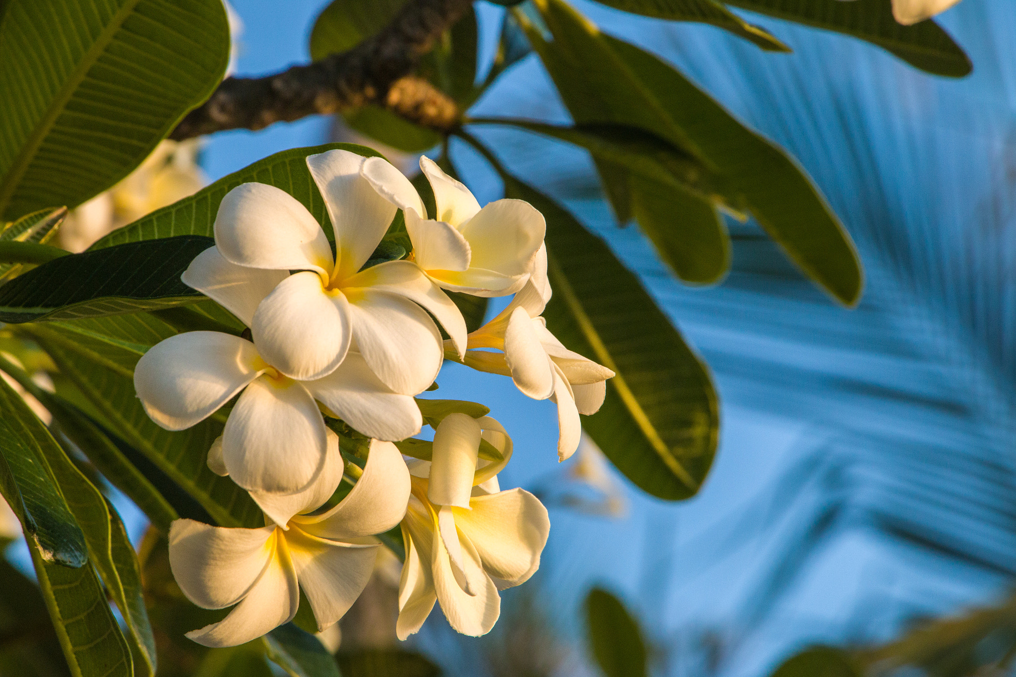 Canon EF-S 18-135mm F3.5-5.6 IS STM sample photo. I was on a weekend getaway taking pictures of a su ... photography