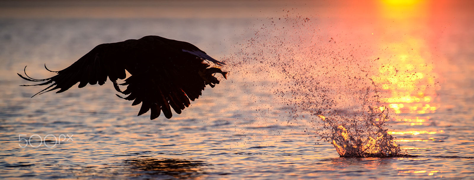 Nikon AF-S Nikkor 300mm F2.8G ED VR II sample photo. Sunset splash photography