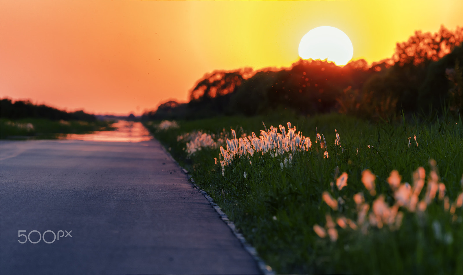 Canon EF 100-400mm F4.5-5.6L IS II USM sample photo. Sunset over the weekend photography