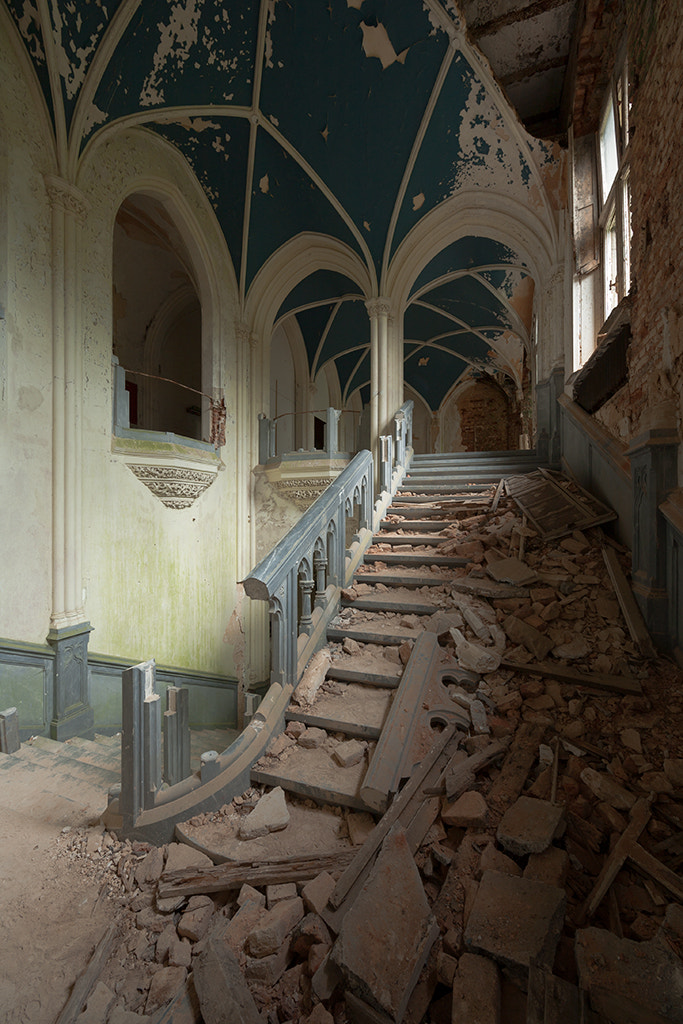 Canon EF 14mm F2.8L II USM sample photo. Agnus dei photography