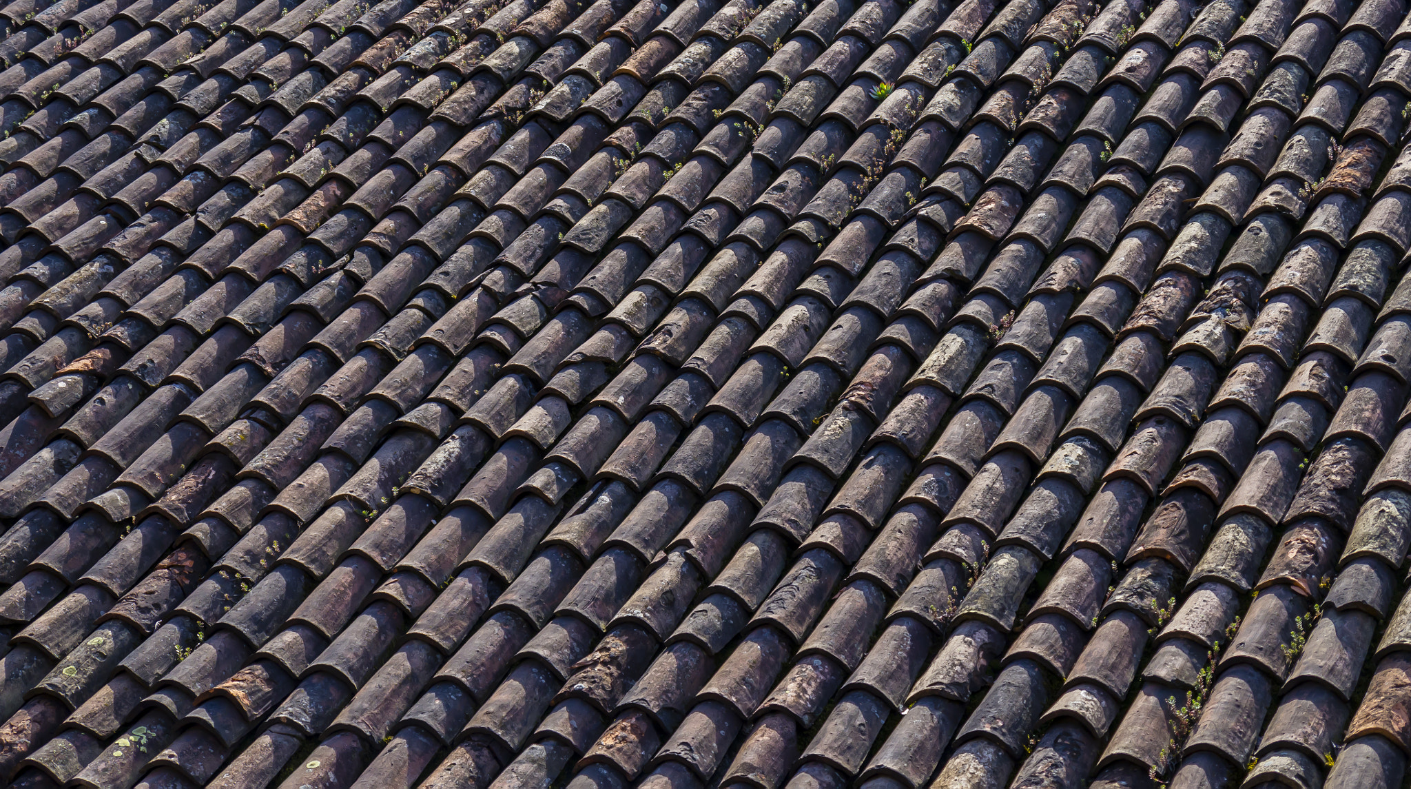 Panasonic Lumix DMC-GH2 sample photo. Roof tiles photography