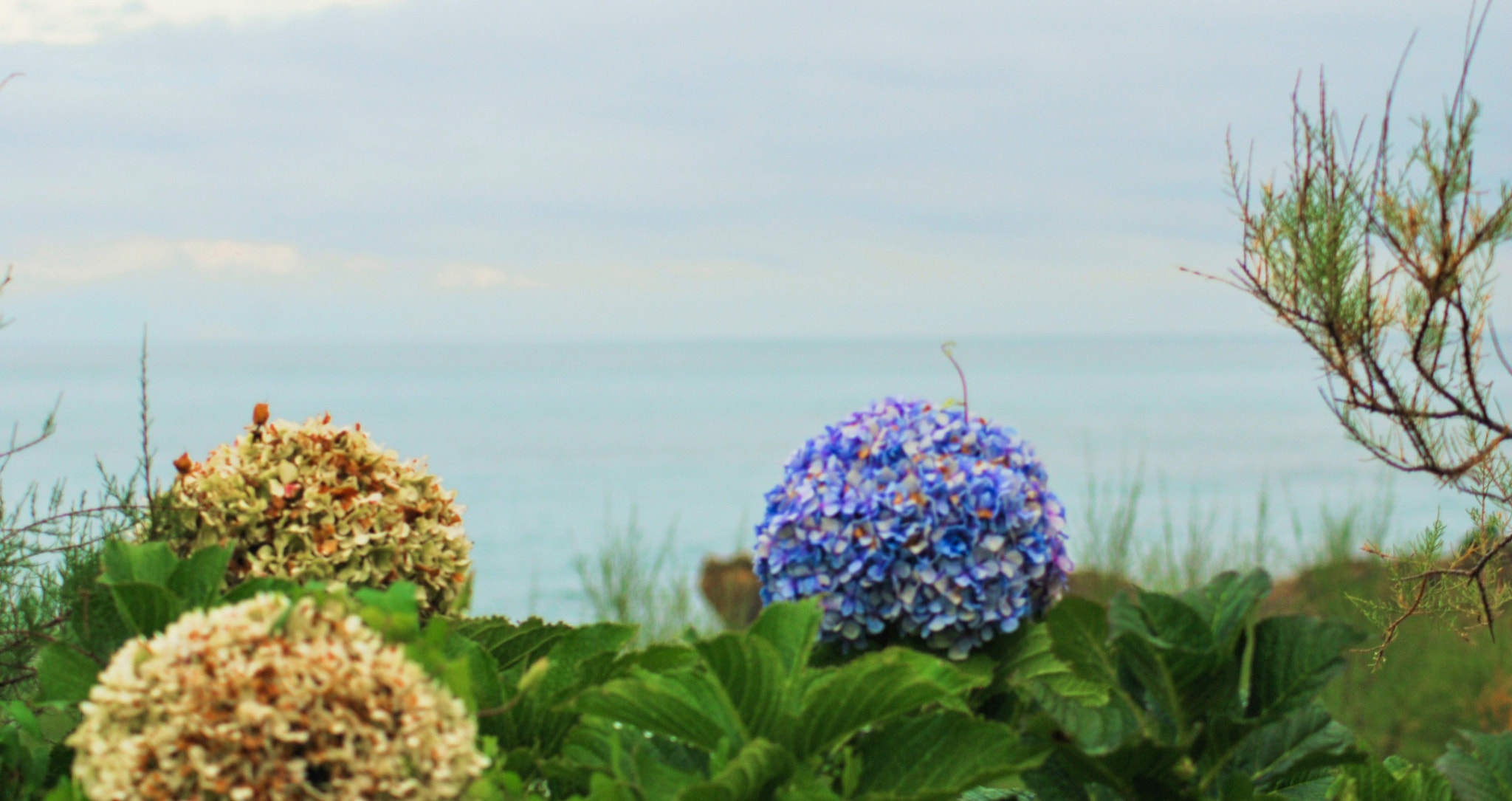 Nikon D60 sample photo. By the sea photography