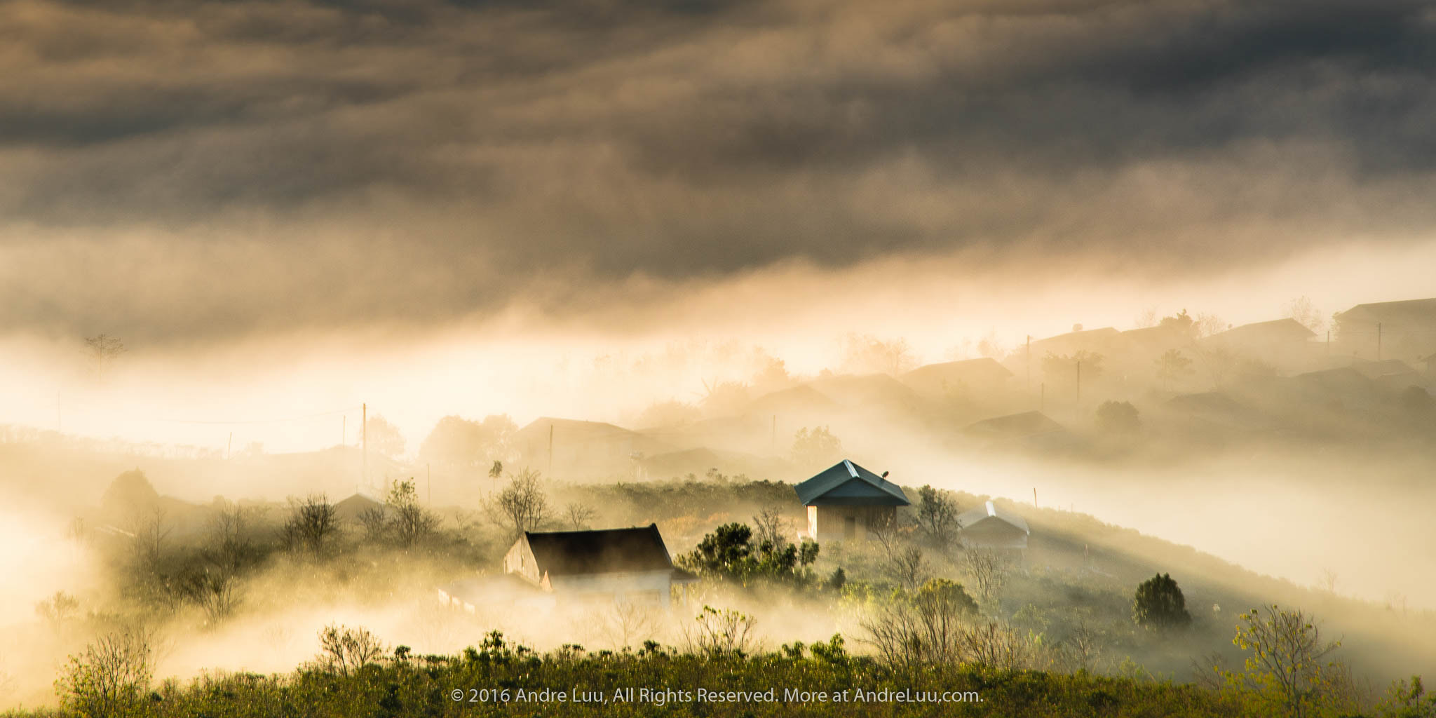 Tamron 18-270mm F3.5-6.3 Di II PZD sample photo. Golden fogs photography