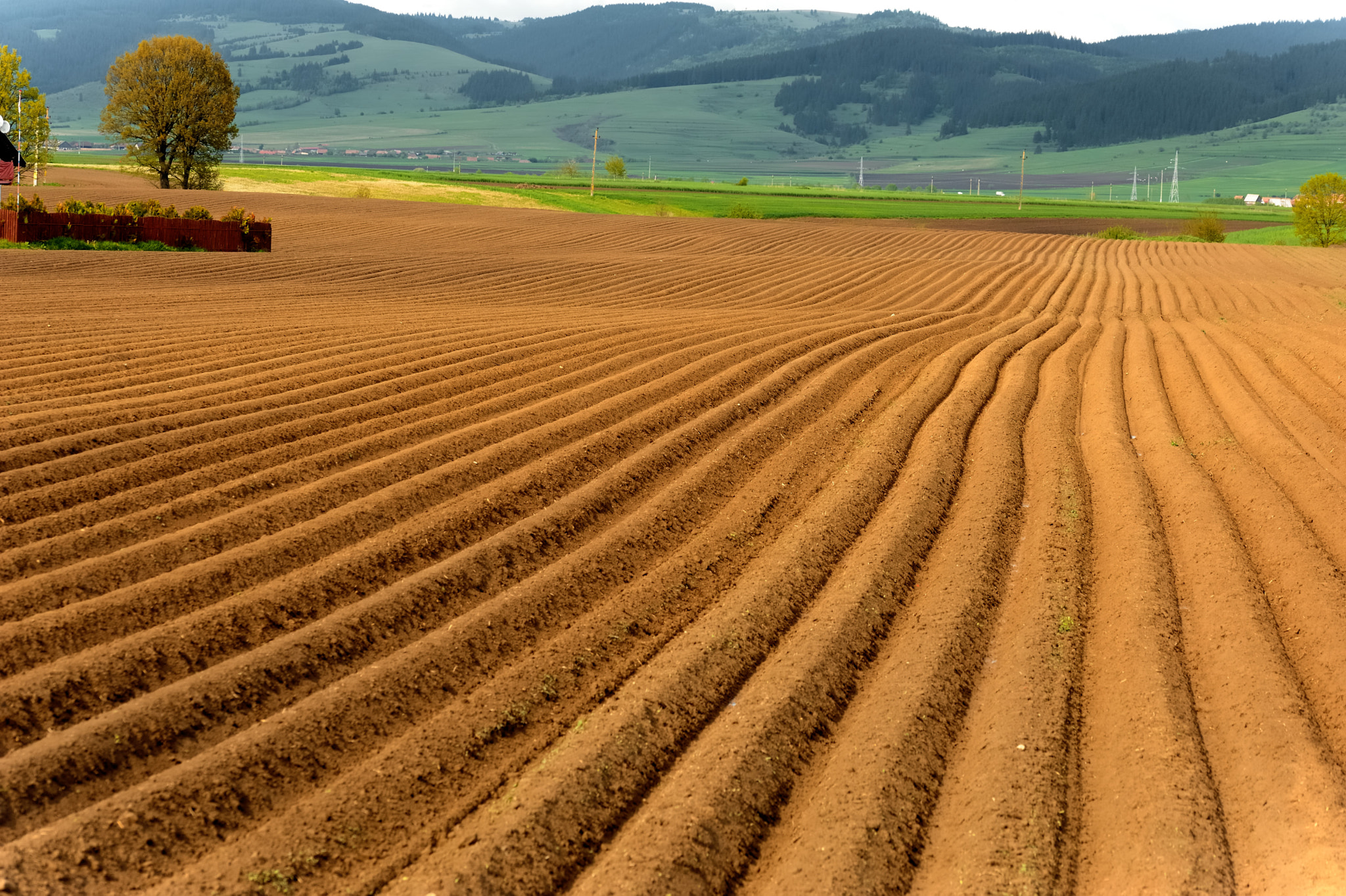 Sigma 105mm F2.8 EX DG OS HSM sample photo. Plough land photography