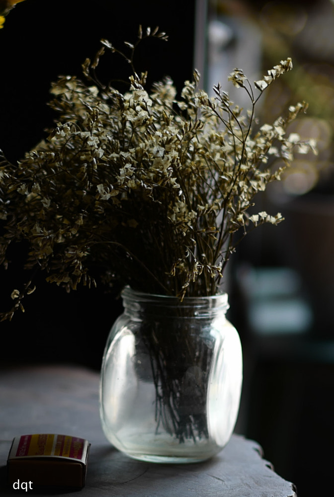 Leica Summilux-M 50mm F1.4 ASPH sample photo