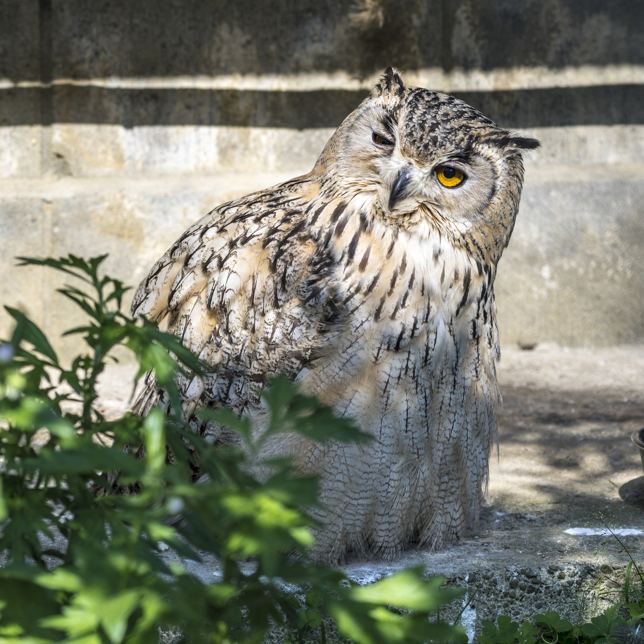 smc PENTAX-FA 645 80-160mm F4.5 sample photo. Wink photography