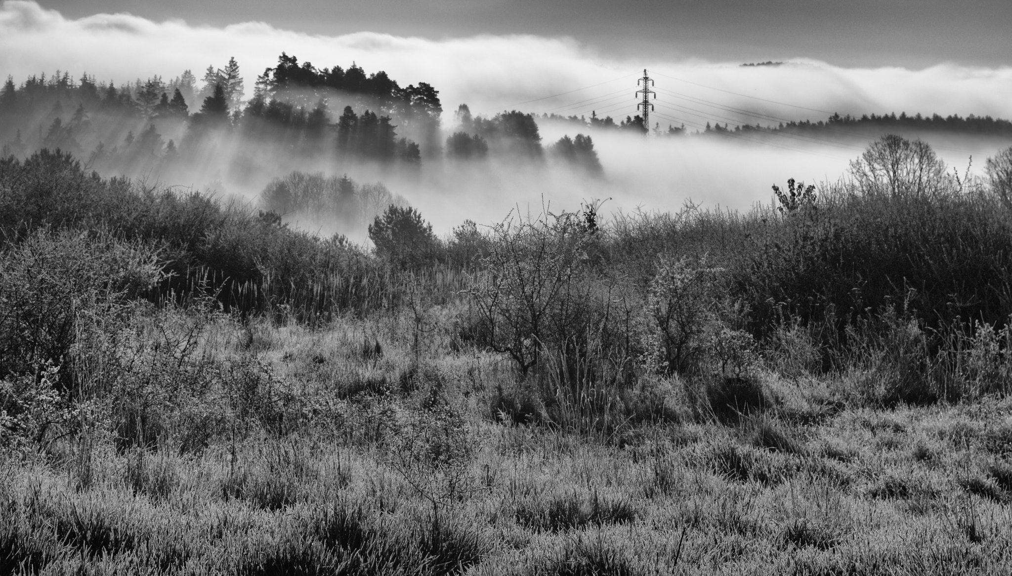 Nikon D3200 + 18.00 - 55.00 mm f/3.5 - 5.6 sample photo. Morning fog photography