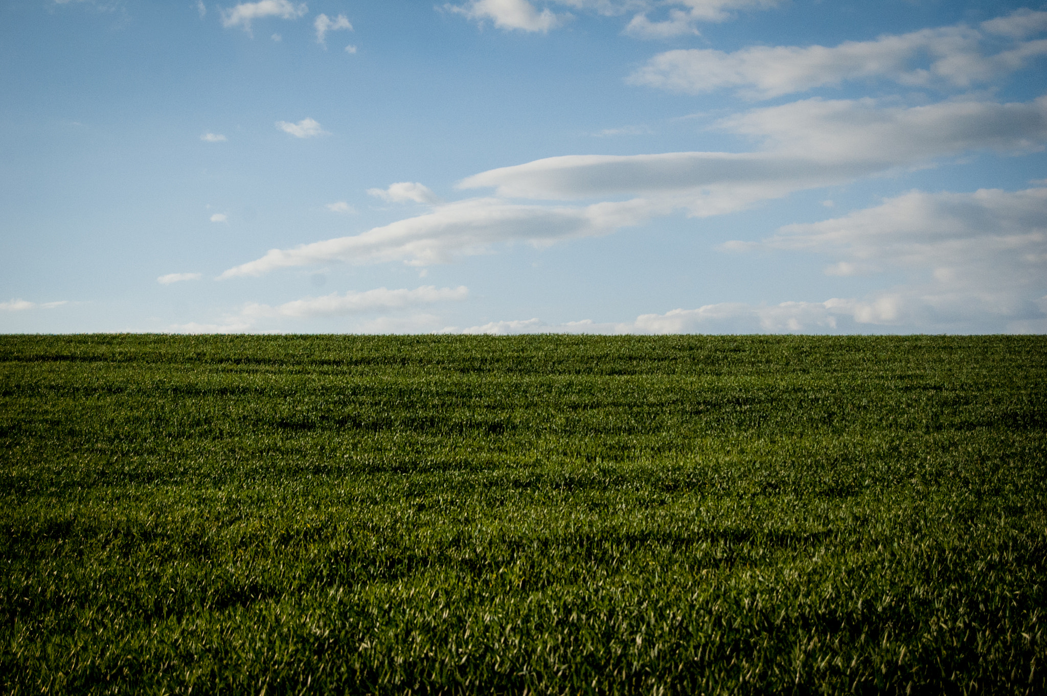 Nikon D70 sample photo. //random view photography