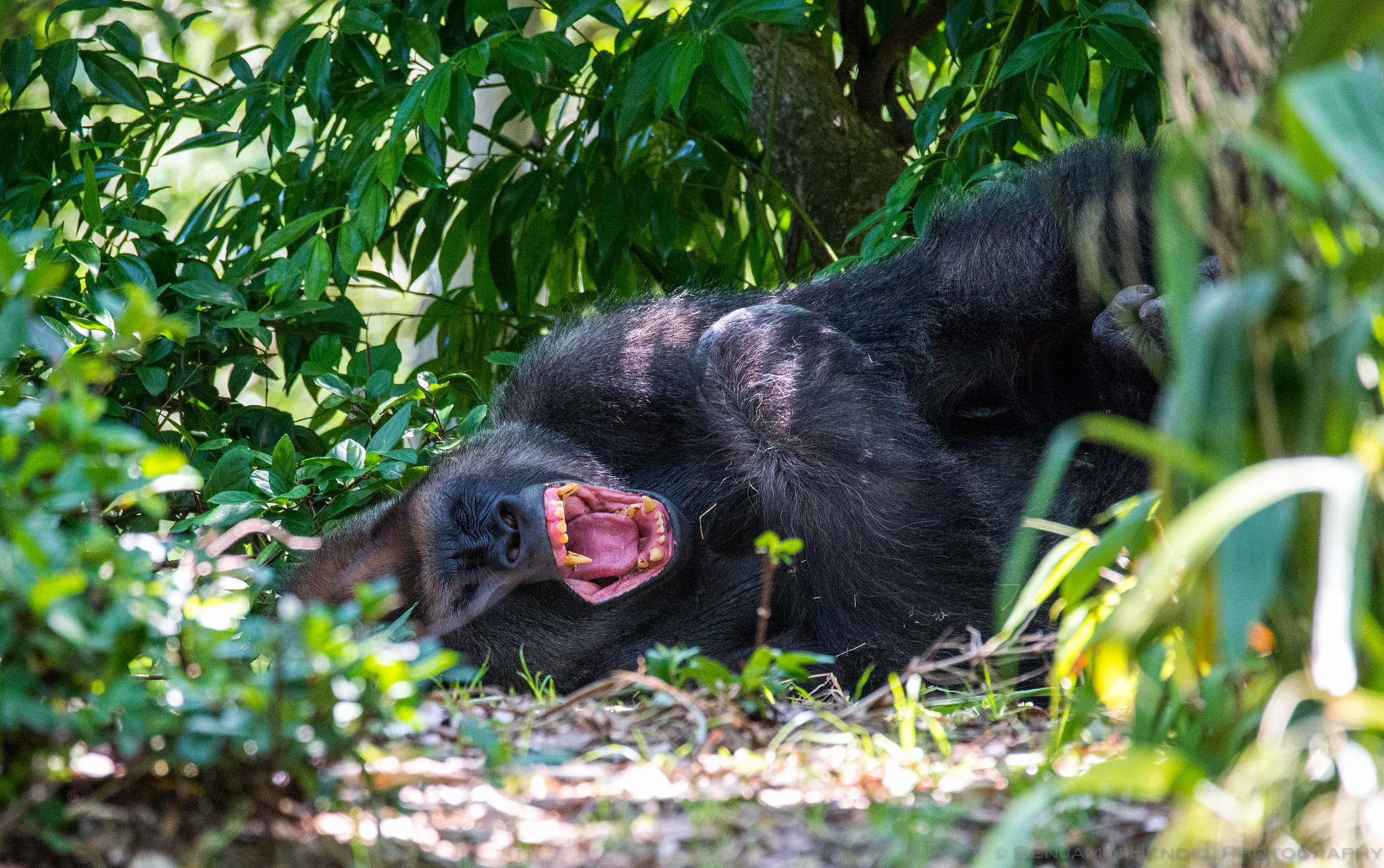 Sigma 150-600mm F5-6.3 DG OS HSM | S sample photo. That monday feeling... photography
