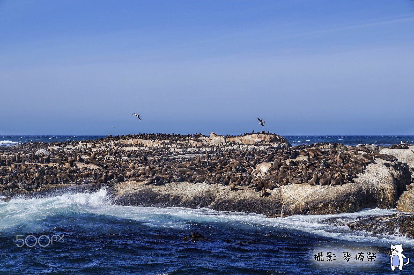 Sony DT 18-250mm F3.5-6.3 sample photo. Seal island, hout bay, cape town, south africa photography