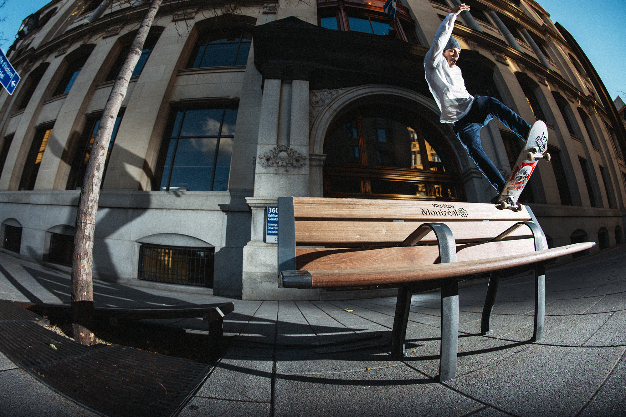 Nikon D800 + Nikon AF Fisheye-Nikkor 16mm F2.8D sample photo. Front blunt photography