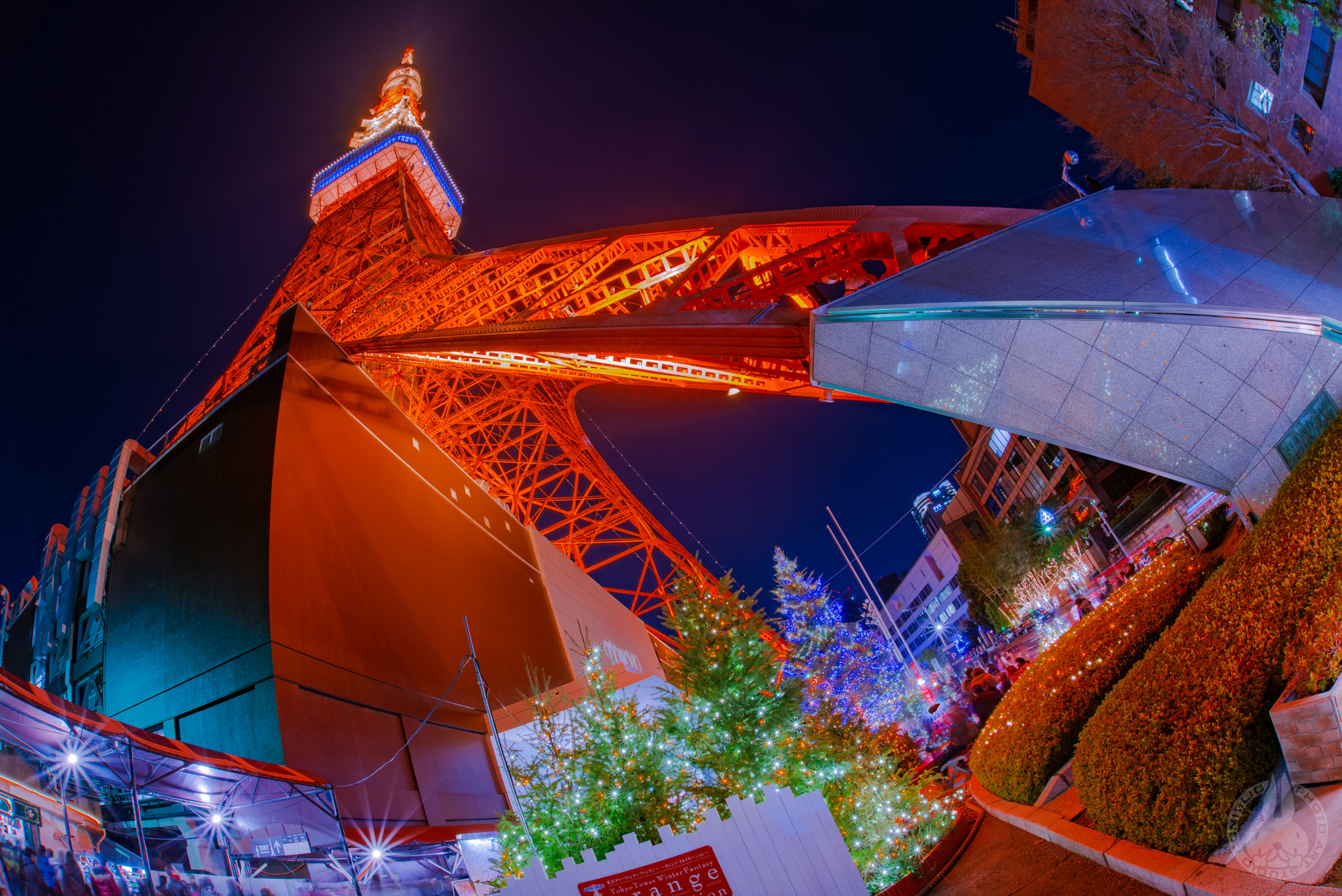 Nikon D800E + Sigma 15mm F2.8 EX DG Diagonal Fisheye sample photo. Tokyo tower photography