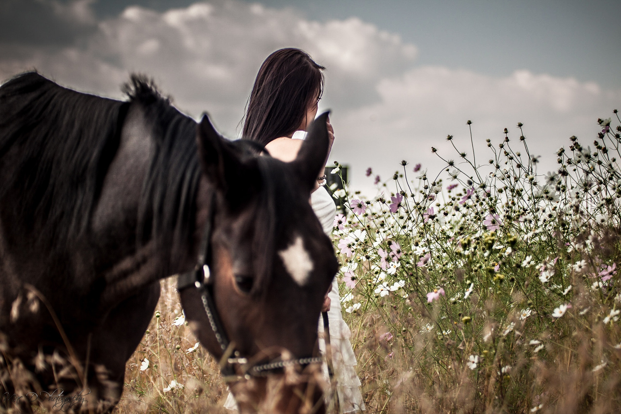 Canon EF 70-200mm F2.8L USM sample photo. Field of dreams photography